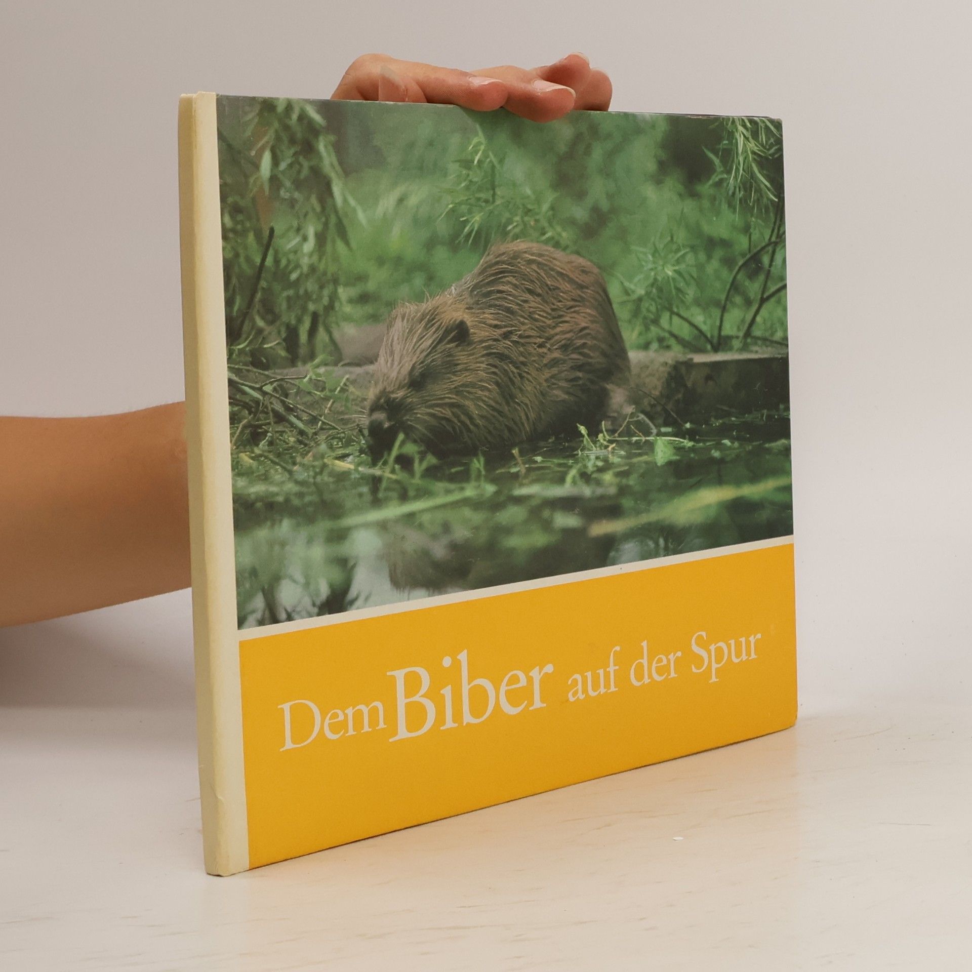 Autorenkollektiv Dem Biber auf der Spur