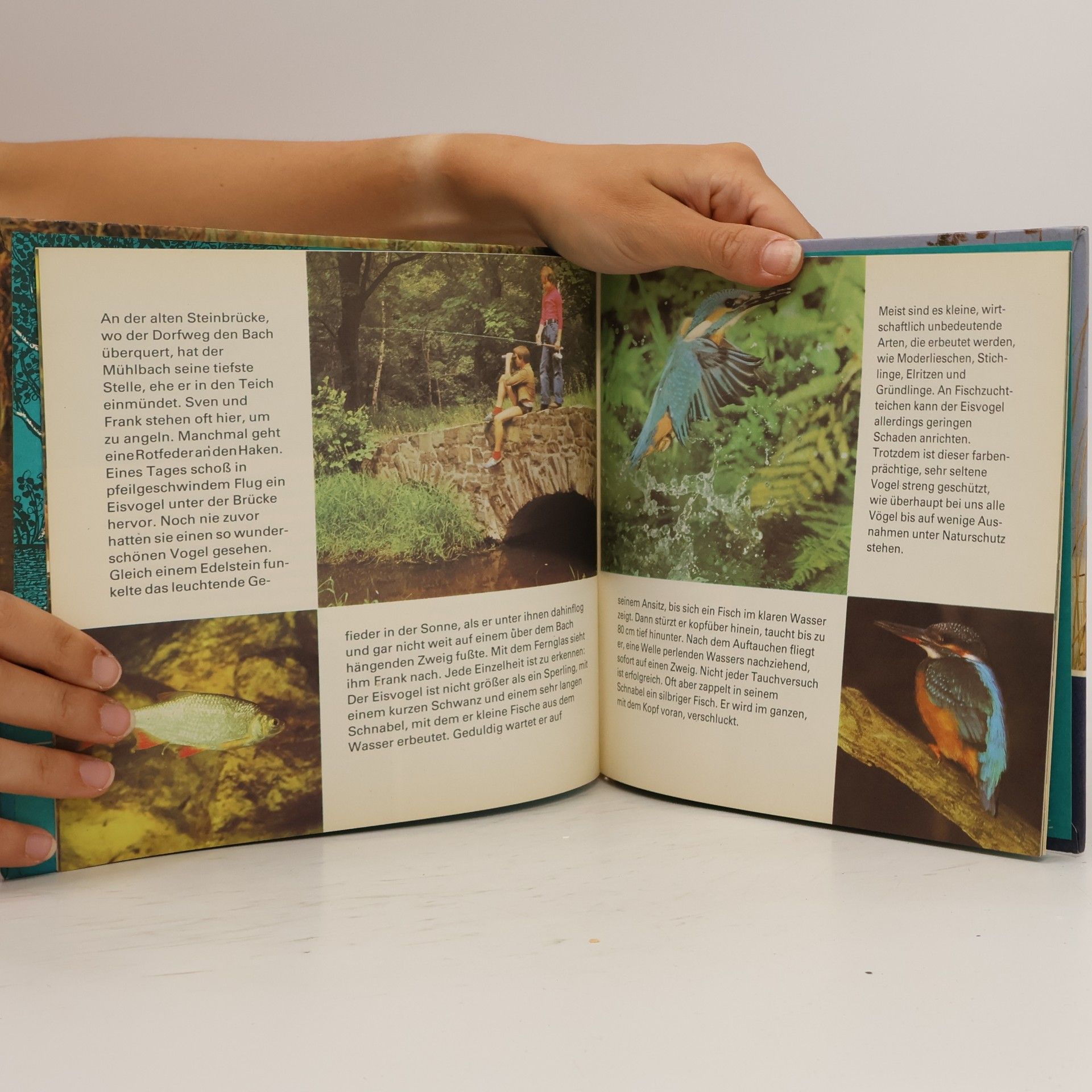 Various authors Teich-expedition