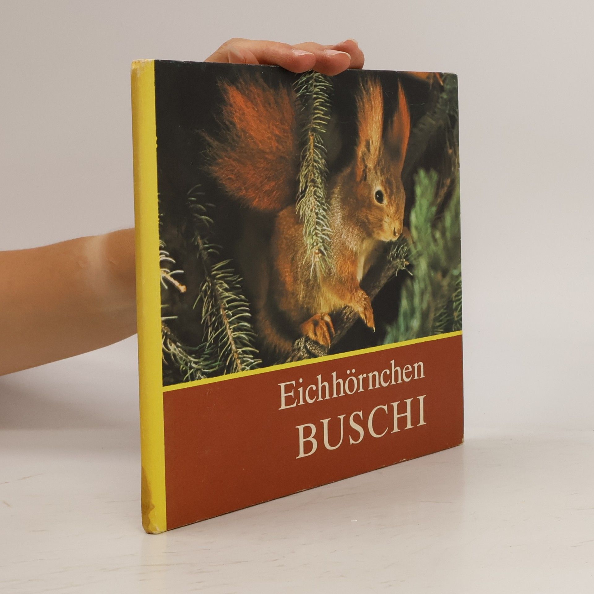Autorenkollektiv Eichhörnchen Buschi