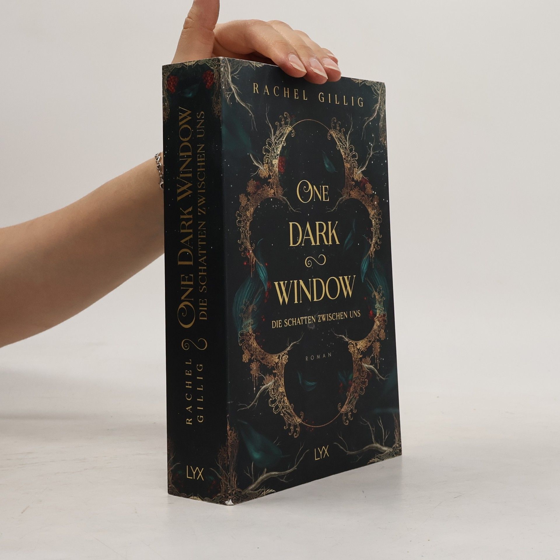 Rachel Gillig One Dark Window - Die Schatten zwischen uns