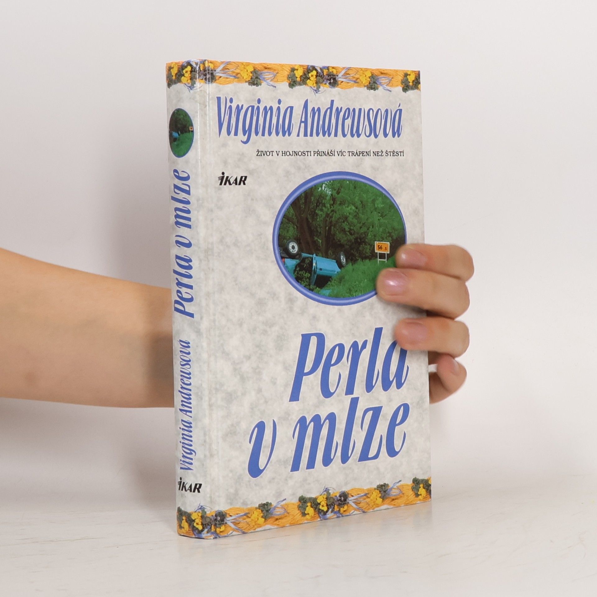 Virginia C. Andrewsová Perla v mlze