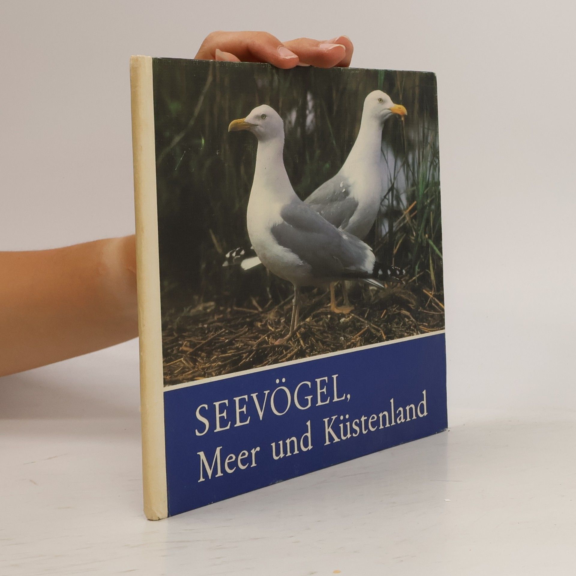 Autorenkollektiv Seevögel, Meer und Küstenland