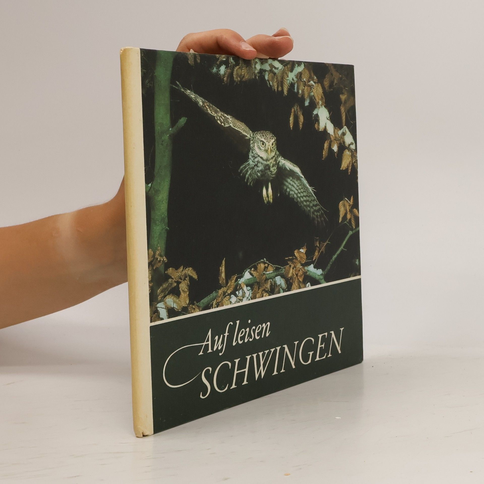 Autorenkollektiv Auf leisen Schwingen