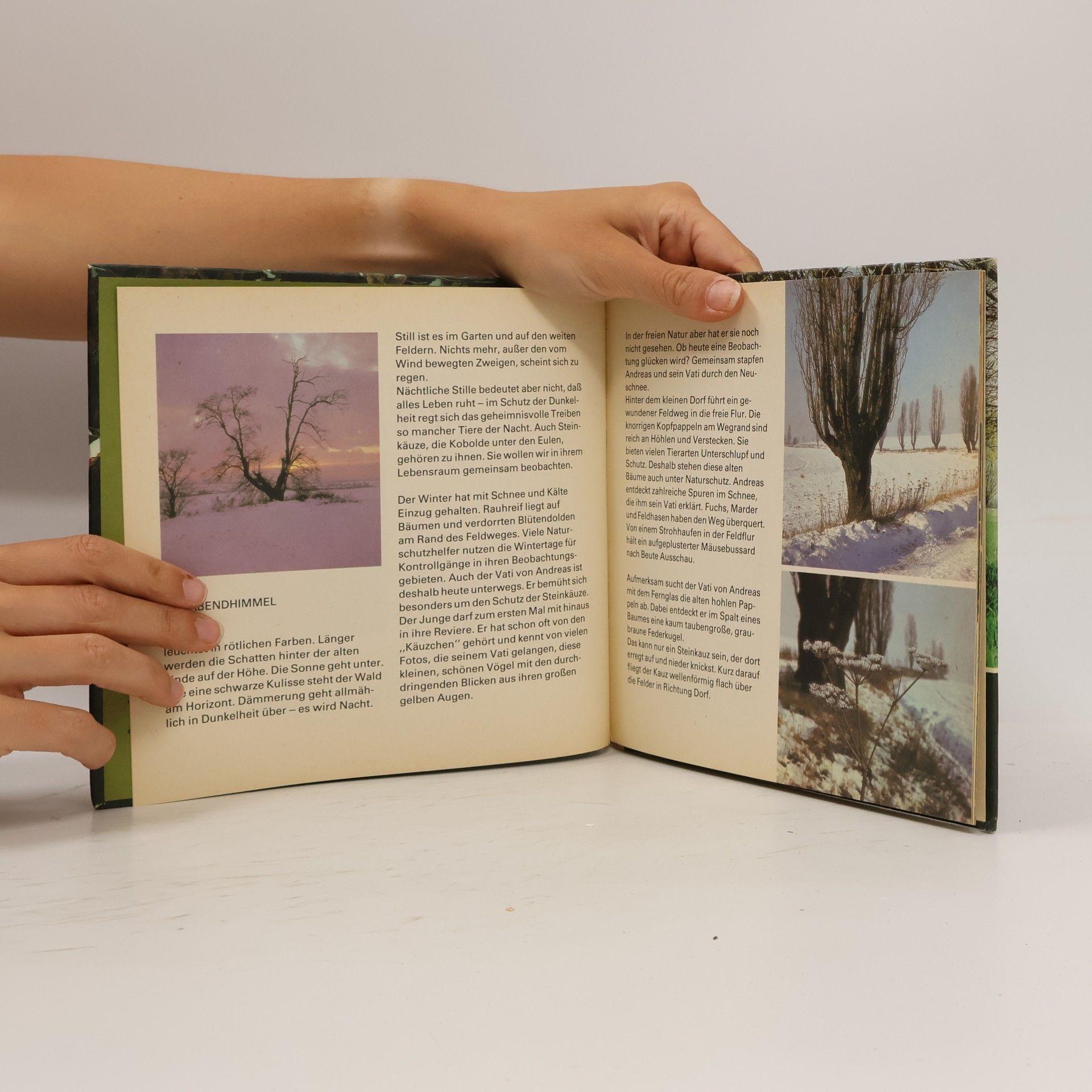 Various authors Auf leisen Schwingen
