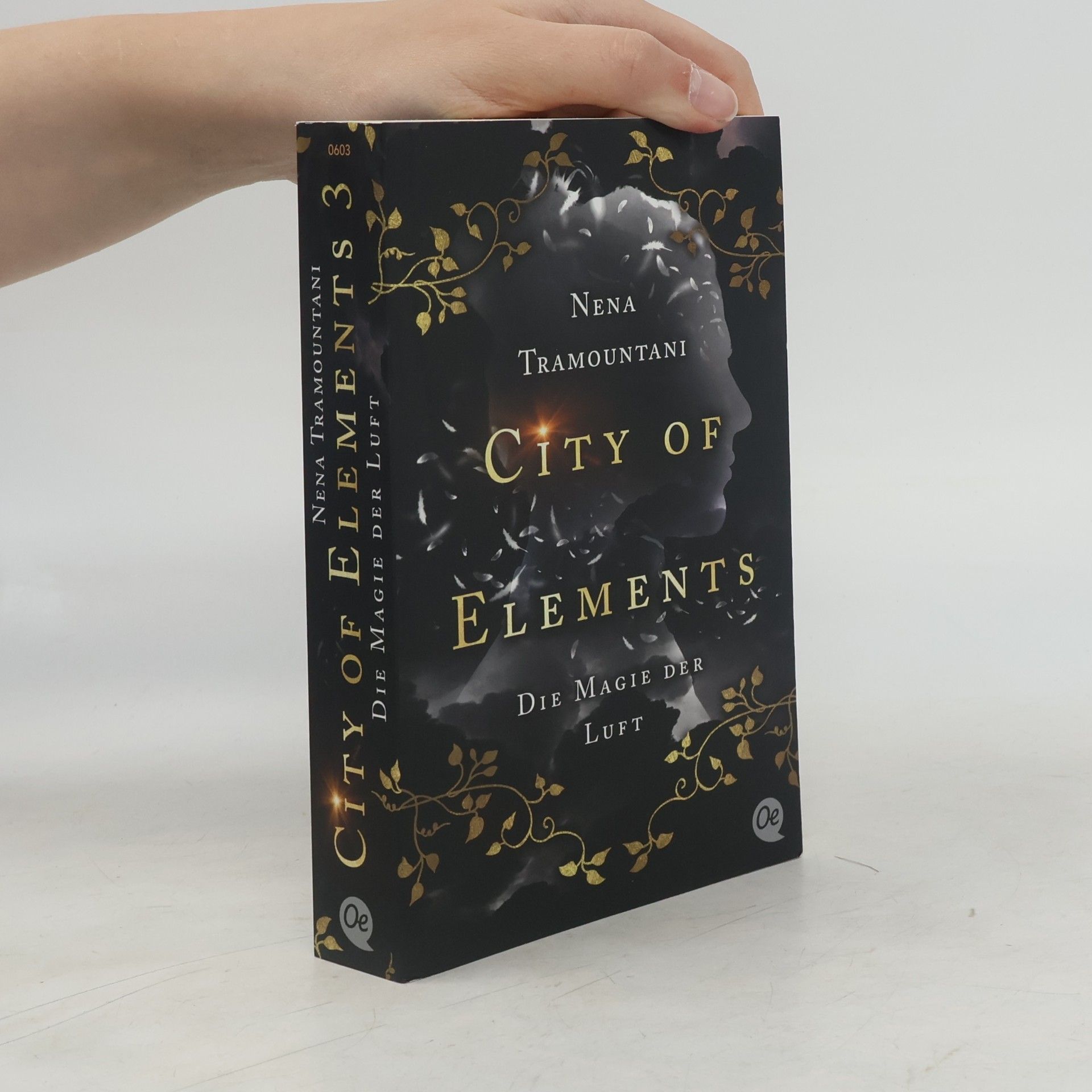 Die Magie der Luft / City of Elements Bd.3