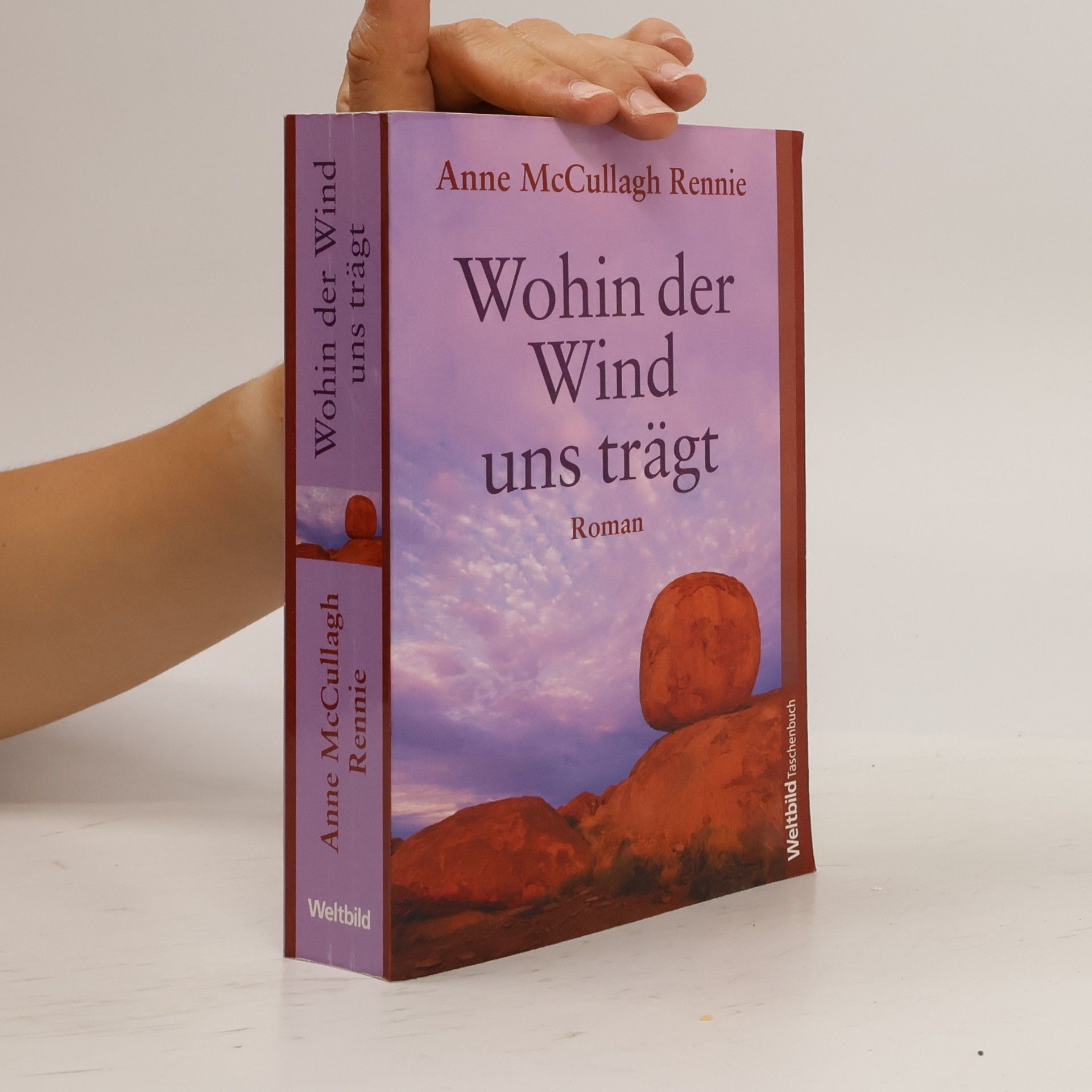 Anne McCullagh Rennie Wohin der Wind uns trägt