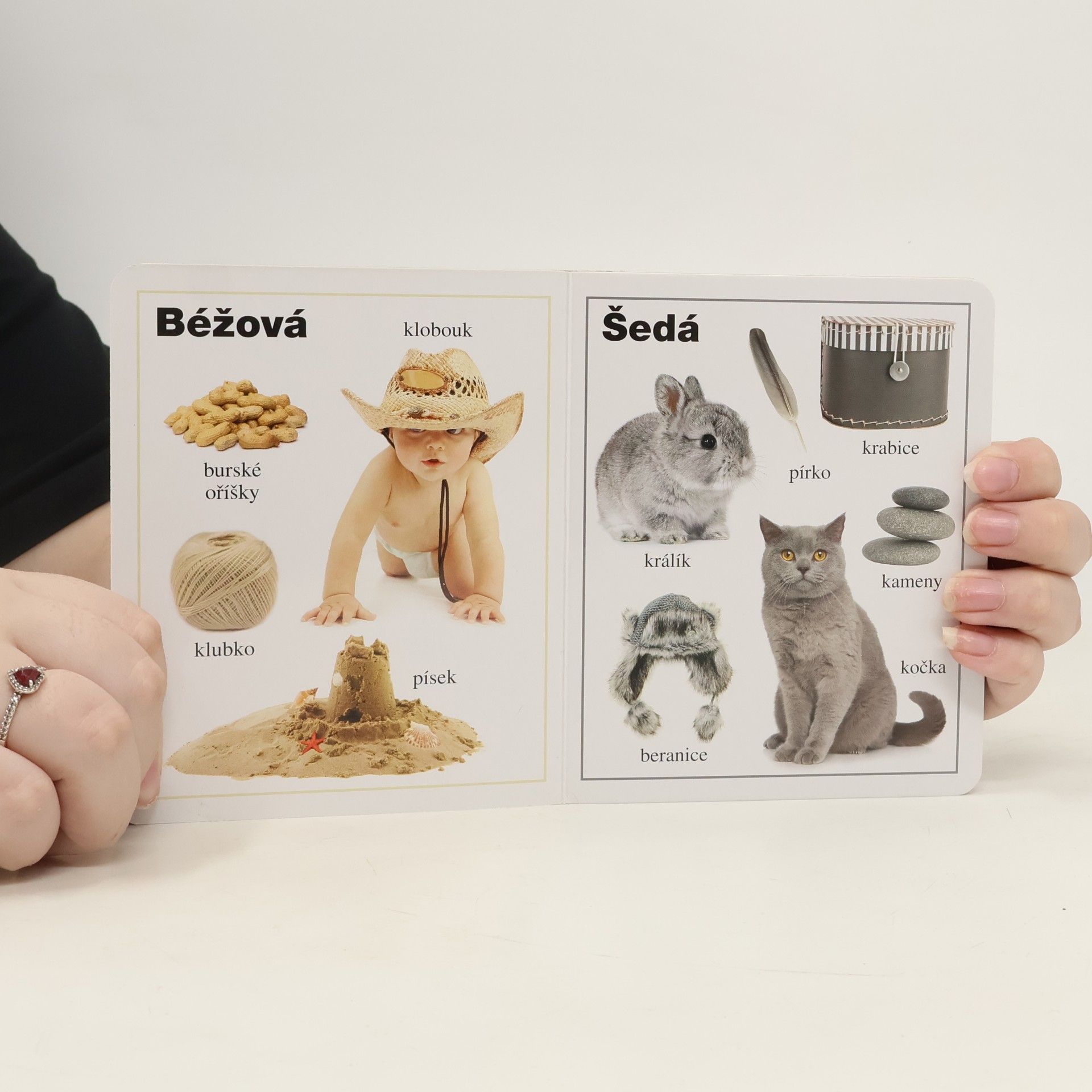 Autorenkollektiv Moje první kniha : Barvy