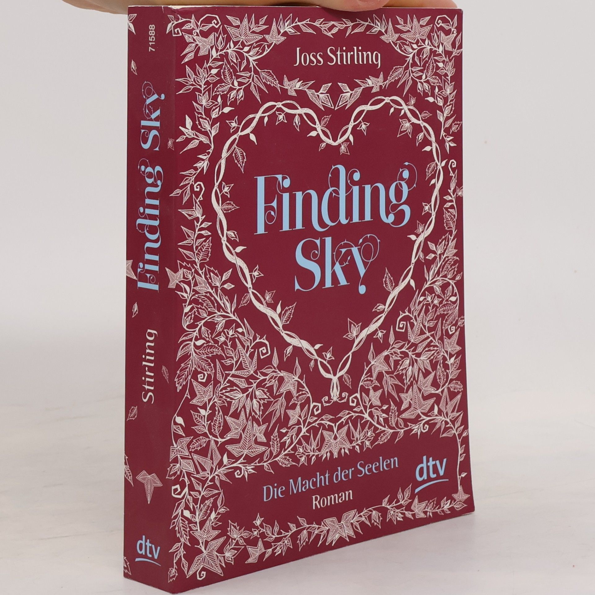 Julia Golding Finding Sky