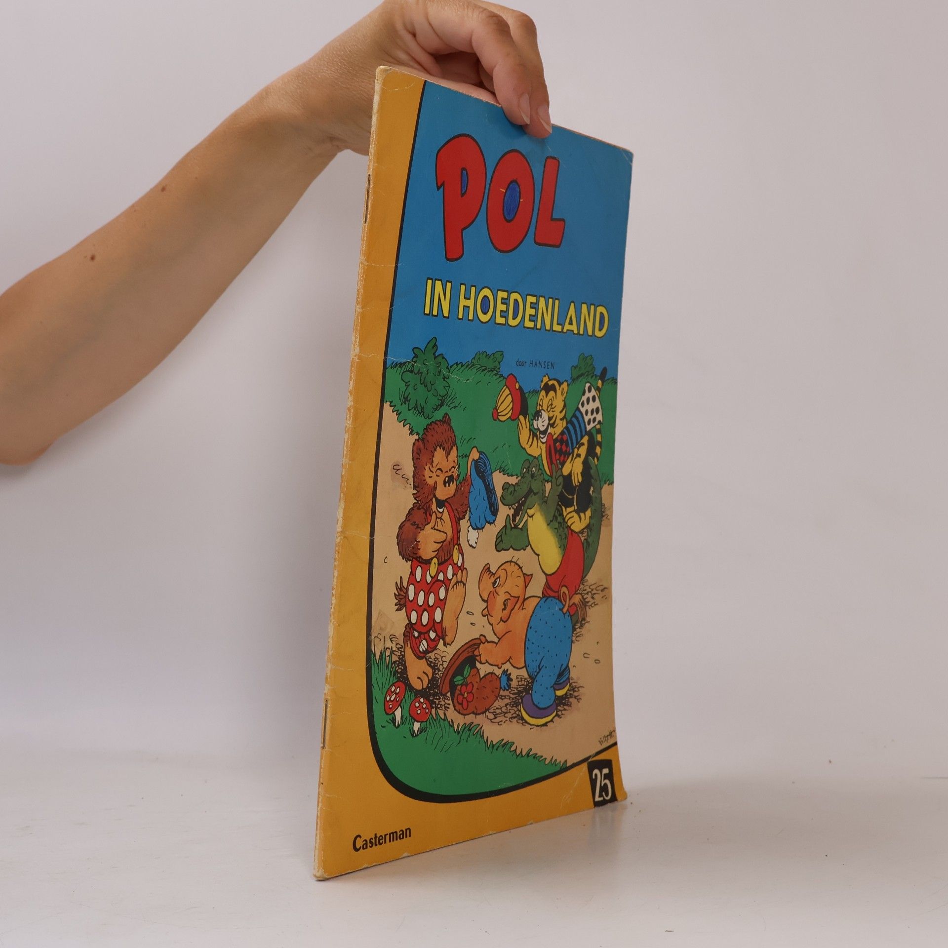 Hansen Pol in Hoedenland 25
