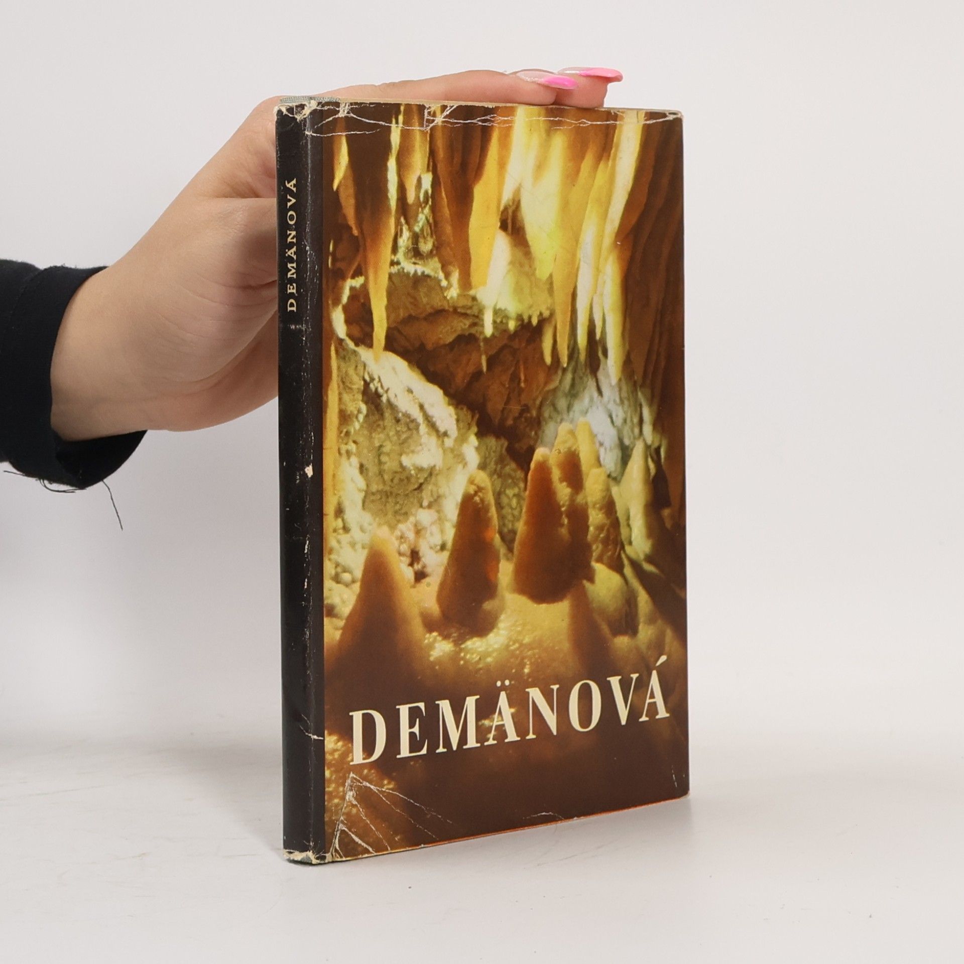 Ján Halaša Demänová