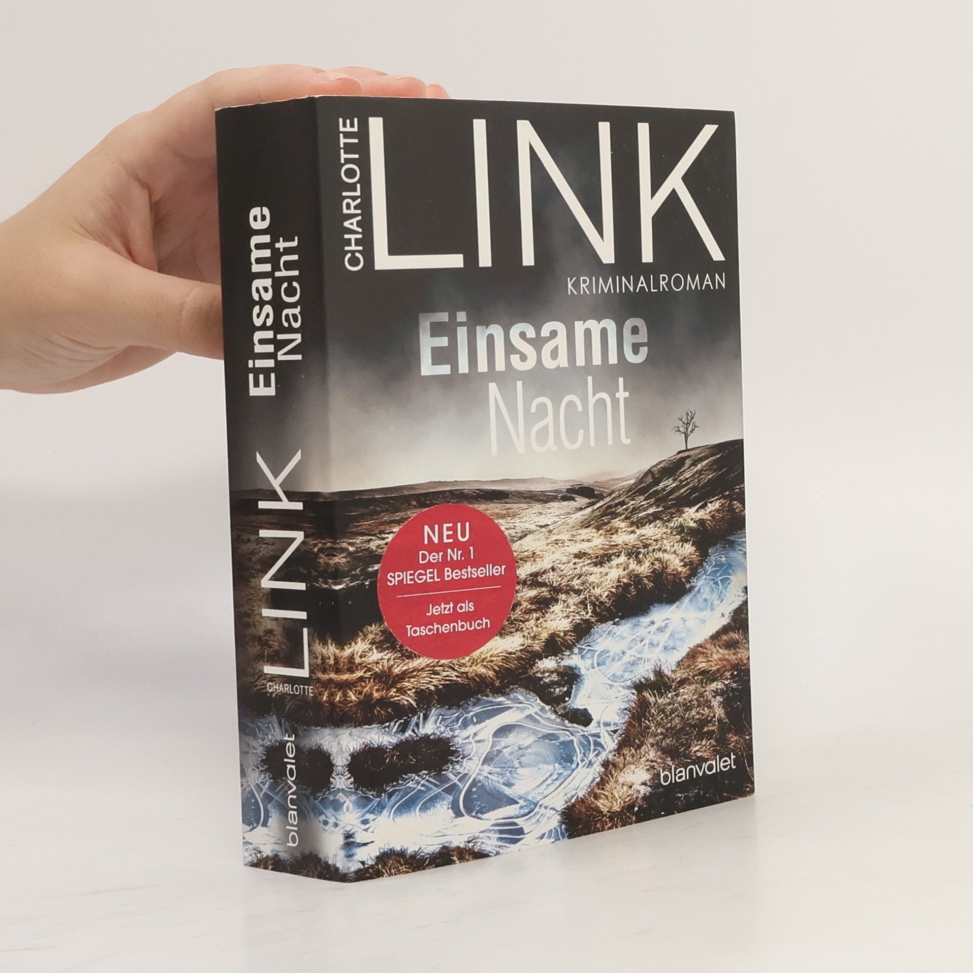 Charlotte Link Einsame Nacht