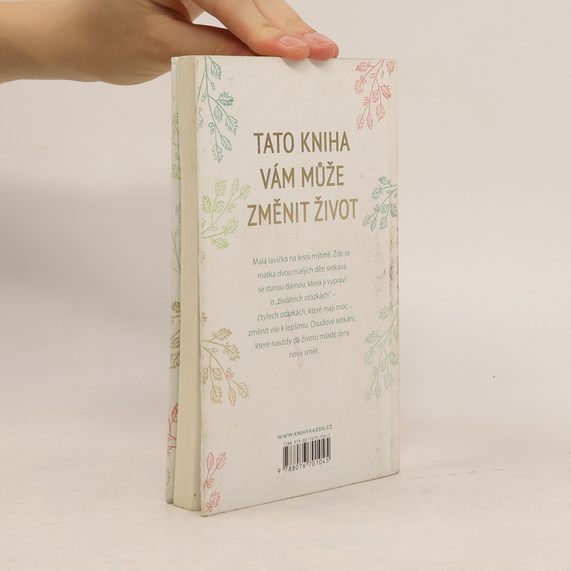 Tessa Randau Les, čtyři otázky, život a já : o jednom setkání, které všechno změnilo