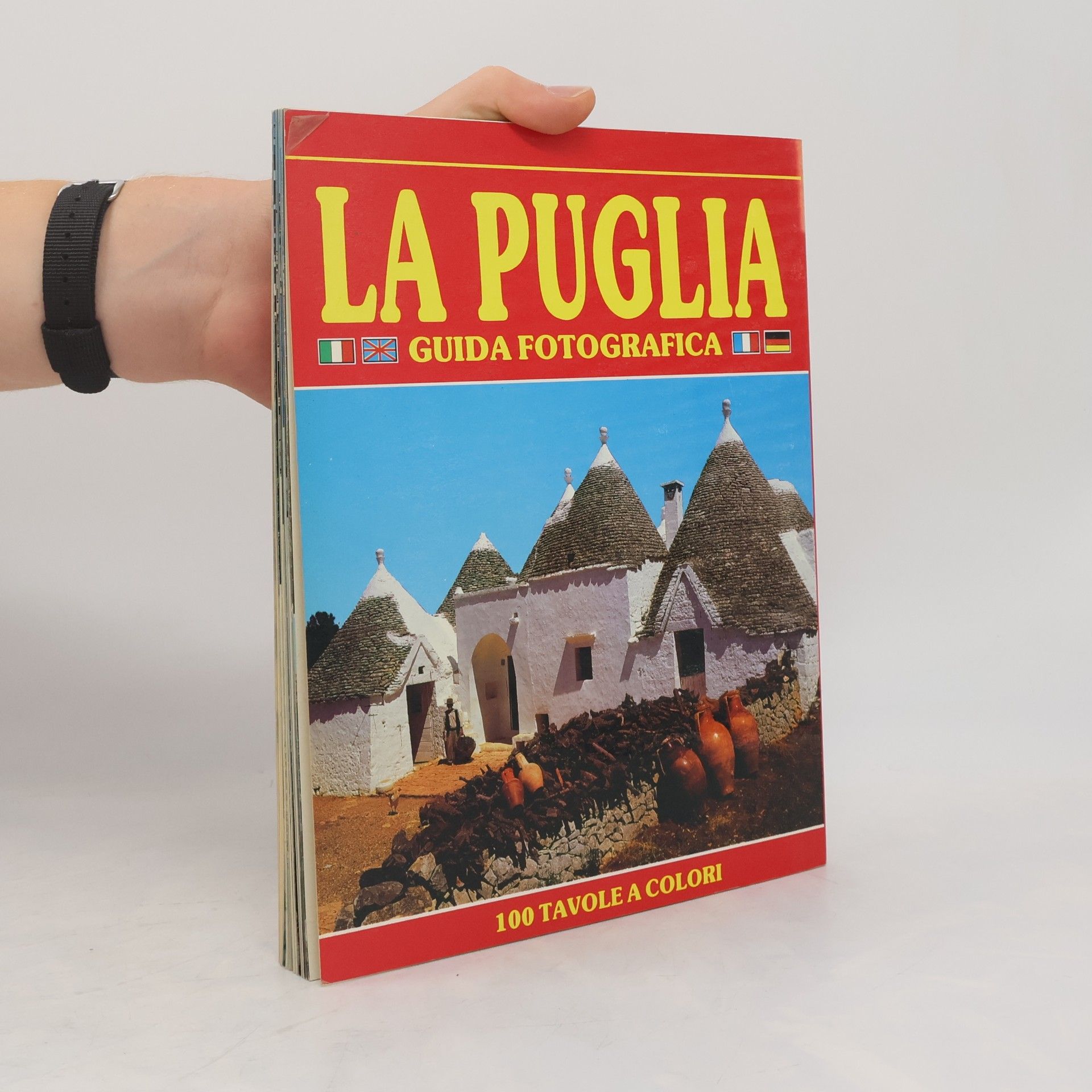 Monte S. Angelo La Puglia. Guida fotografica