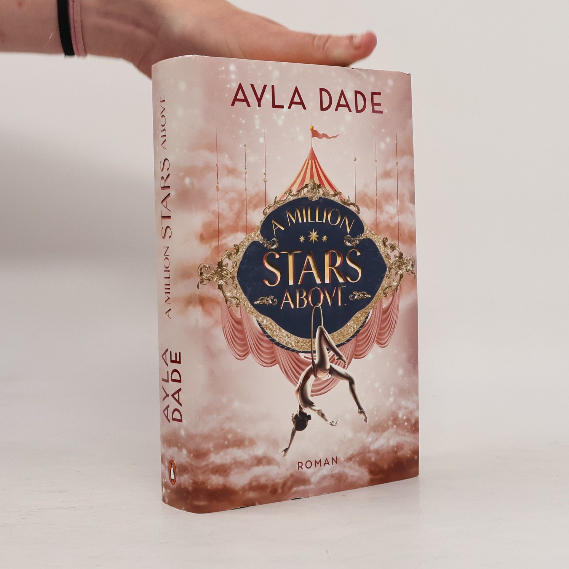 Ayla Dade A Million Stars Above