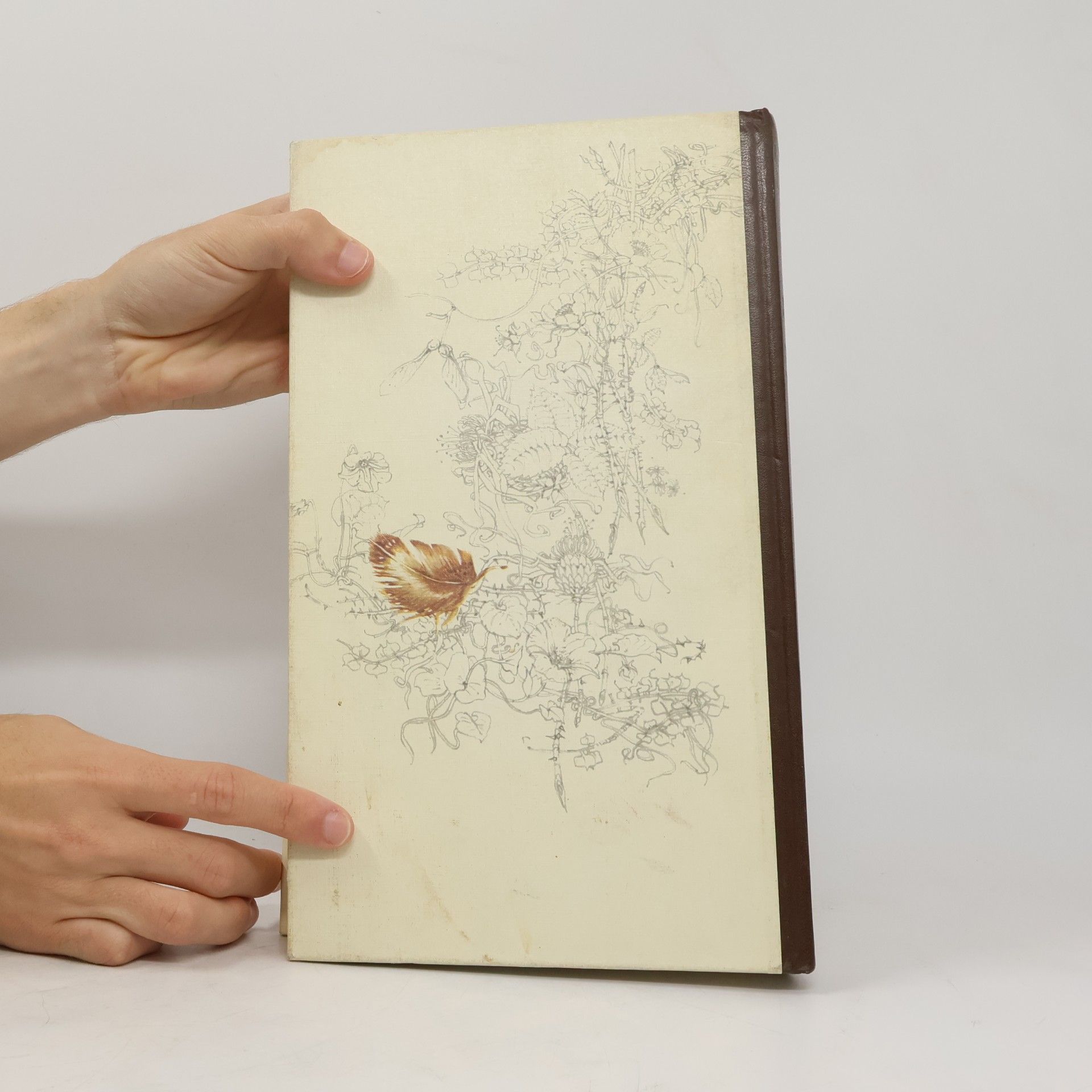 Günther Niethammer Das Reader's Digest Buch der Vogelwelt Mitteleuropas