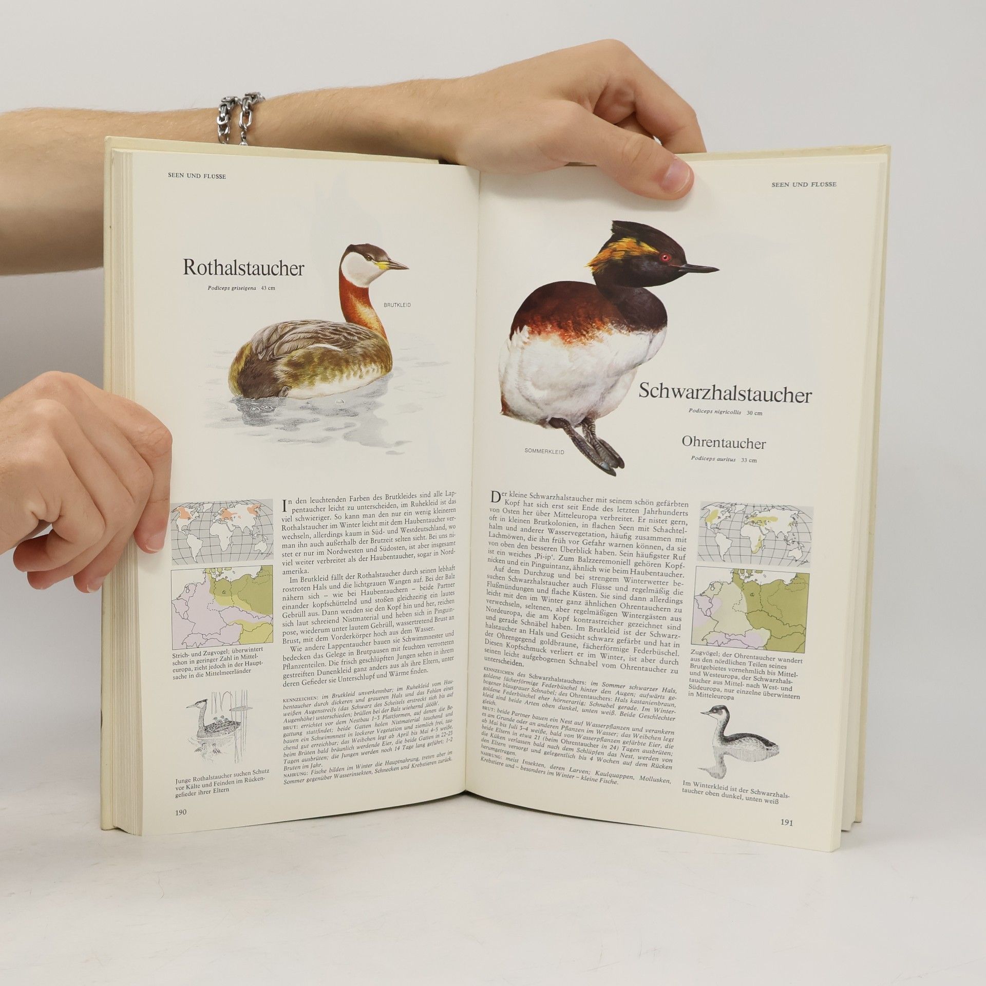 Günther Niethammer Das Reader's Digest Buch der Vogelwelt Mitteleuropas