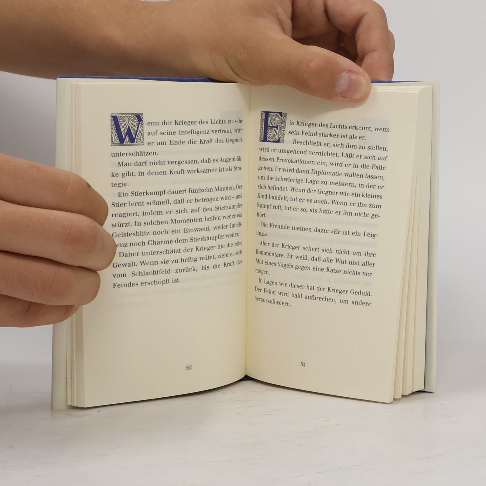 Paulo Coelho Handbuch des Kriegers des Lichts