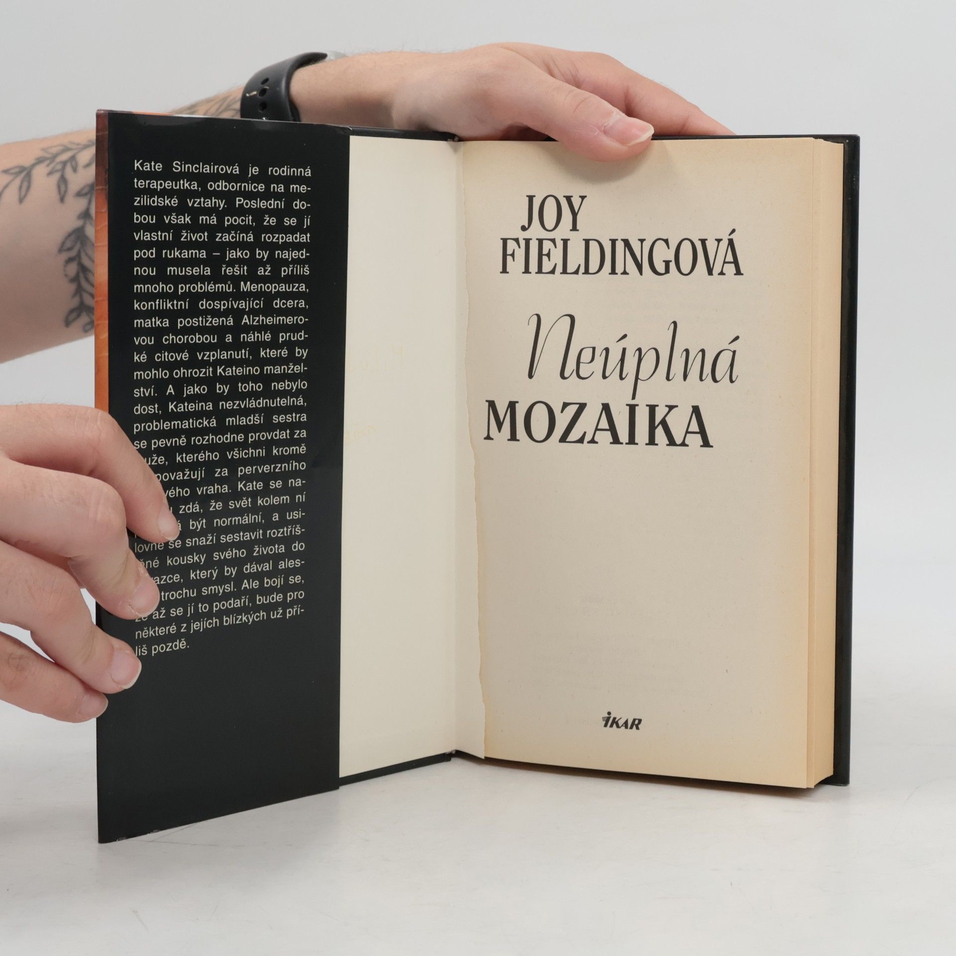 Joy Fielding Neúplná mozaika