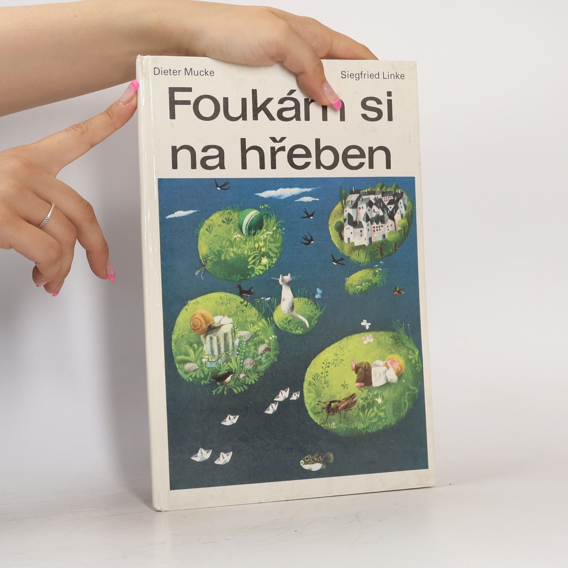 Dieter Mucke Foukám si na hřeben