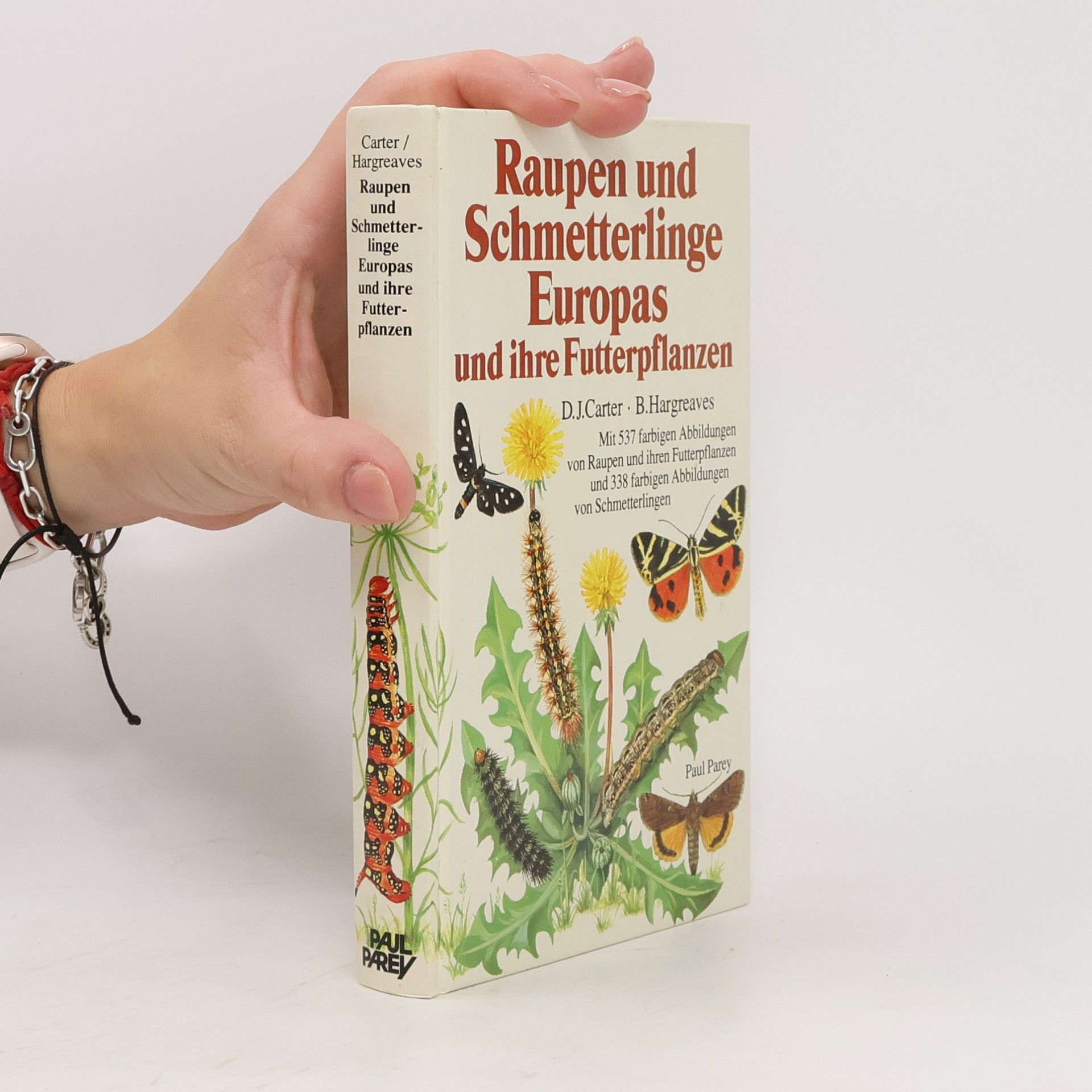 David James Carter Raupen und Schmetterlinge Europas und ihre Futterpflanzen