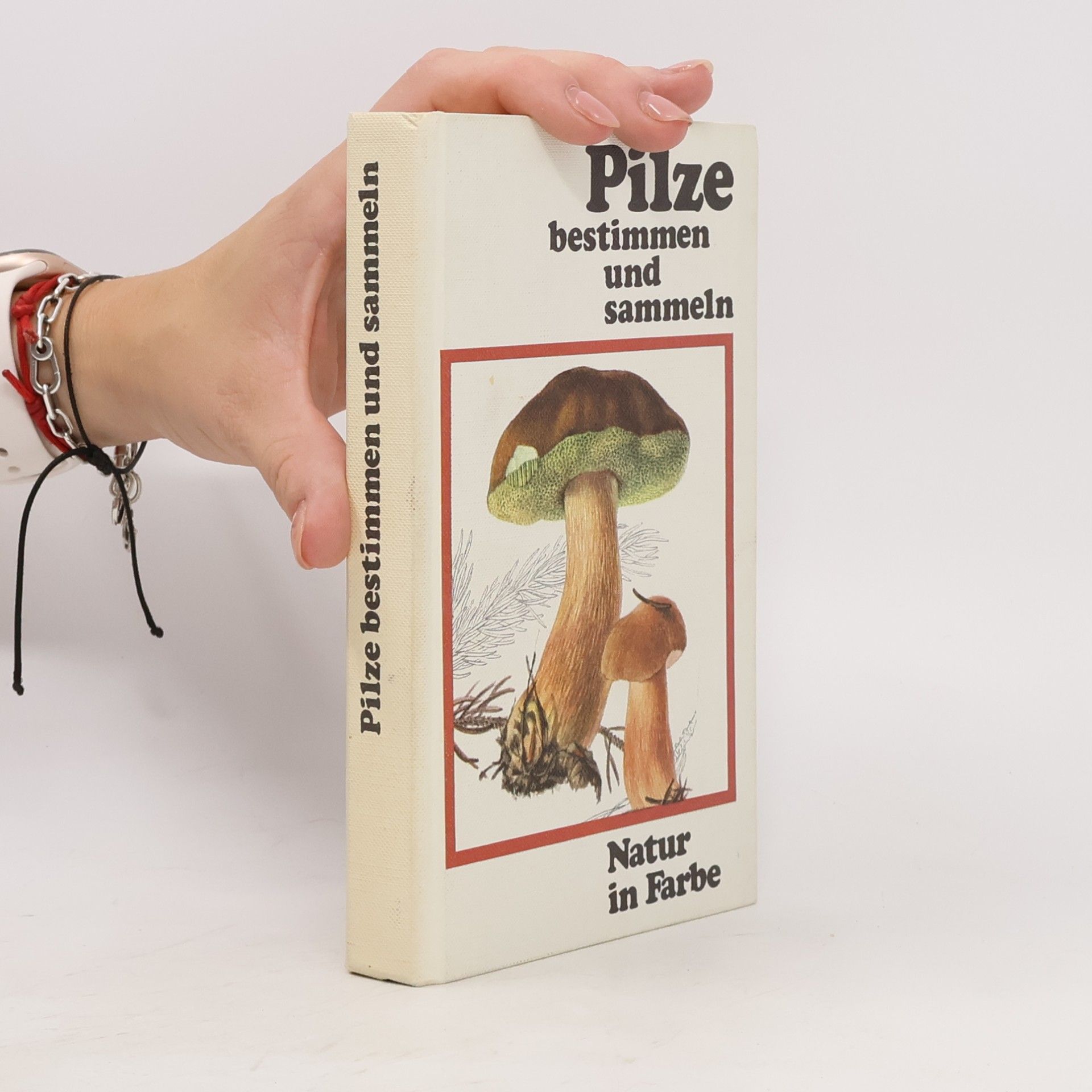 Vančura Pilze bestimmen und sammeln