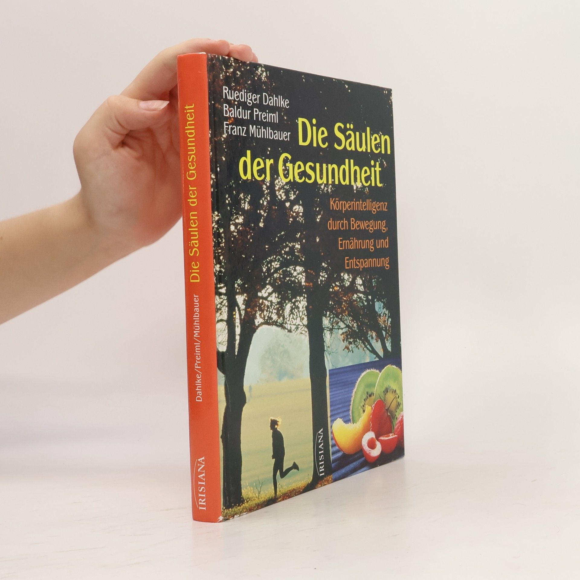 Ruediger Dahlke Die Säulen der Gesundheit