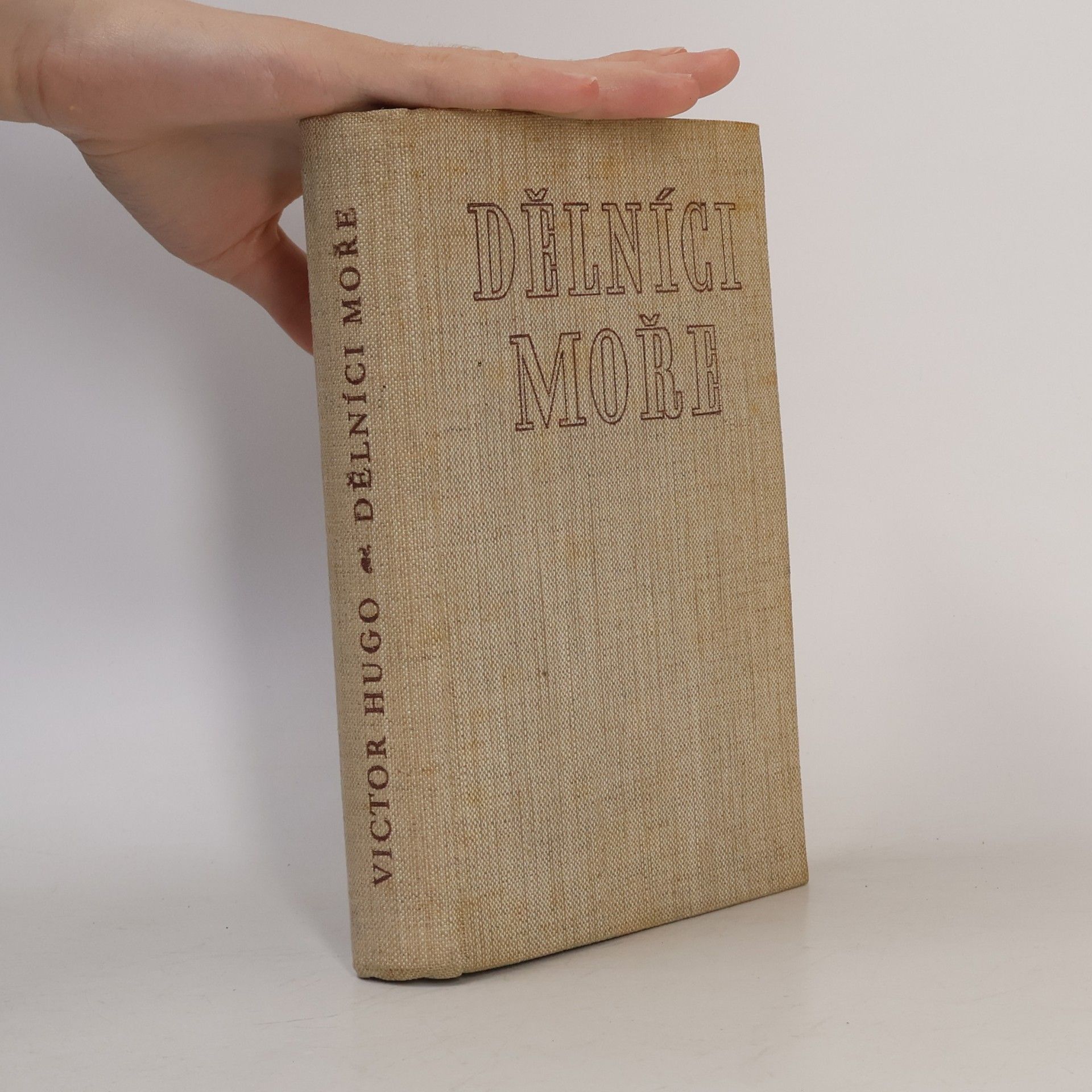 Victor Hugo Dělníci moře