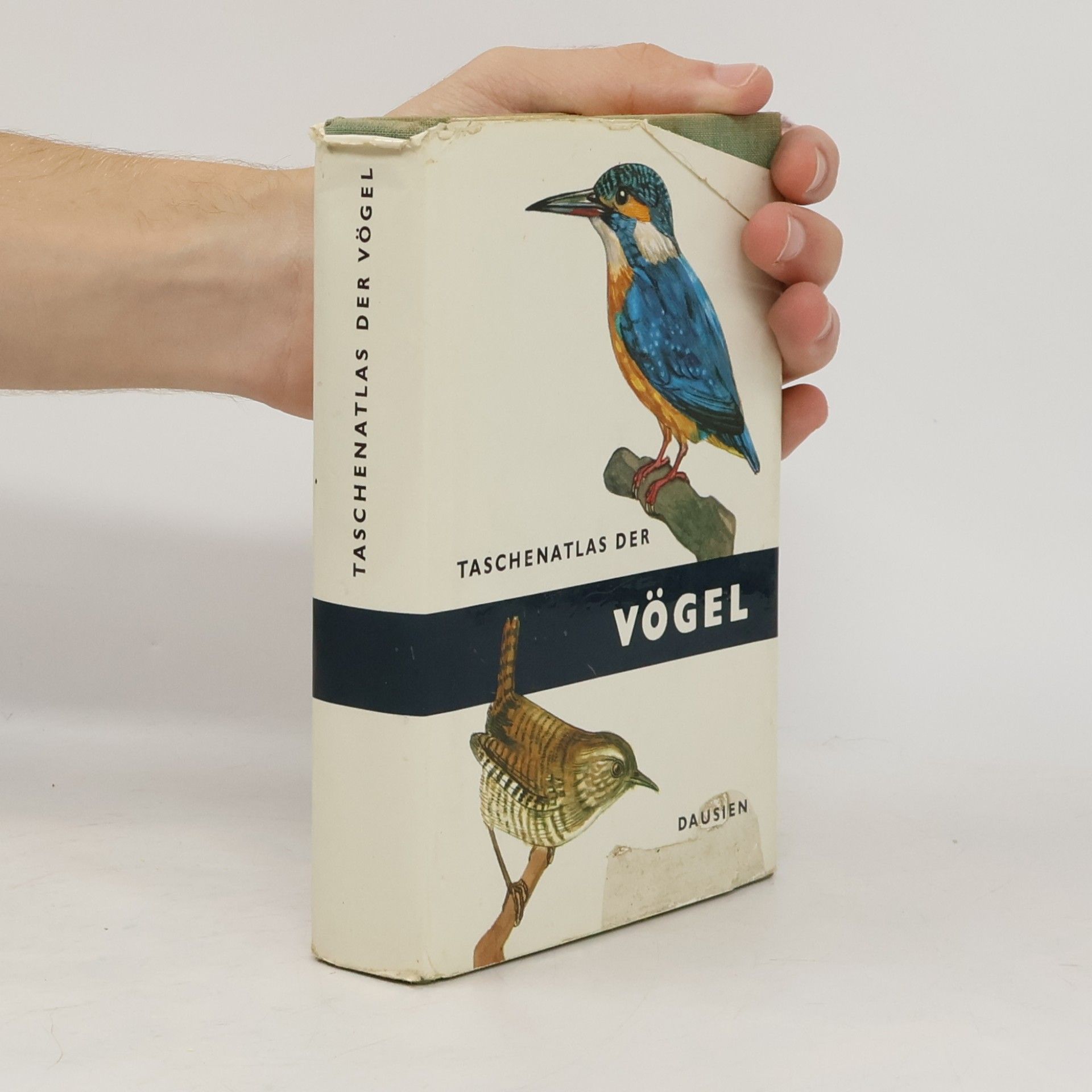 Jan Solovjev Taschenatlas der Vögel