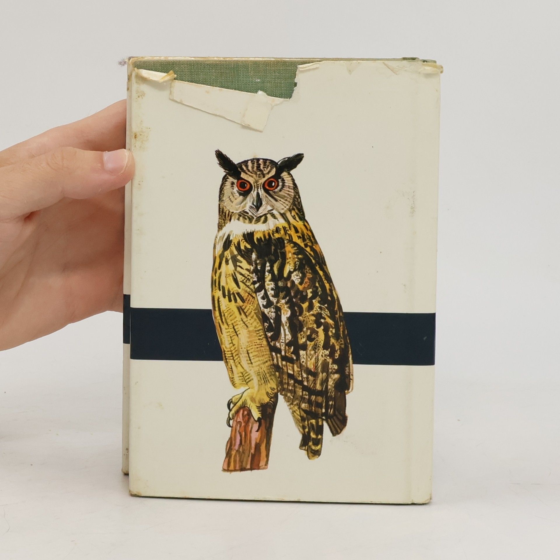 Jaroslav Spirhanzl Duriš Taschenatlas der Vögel