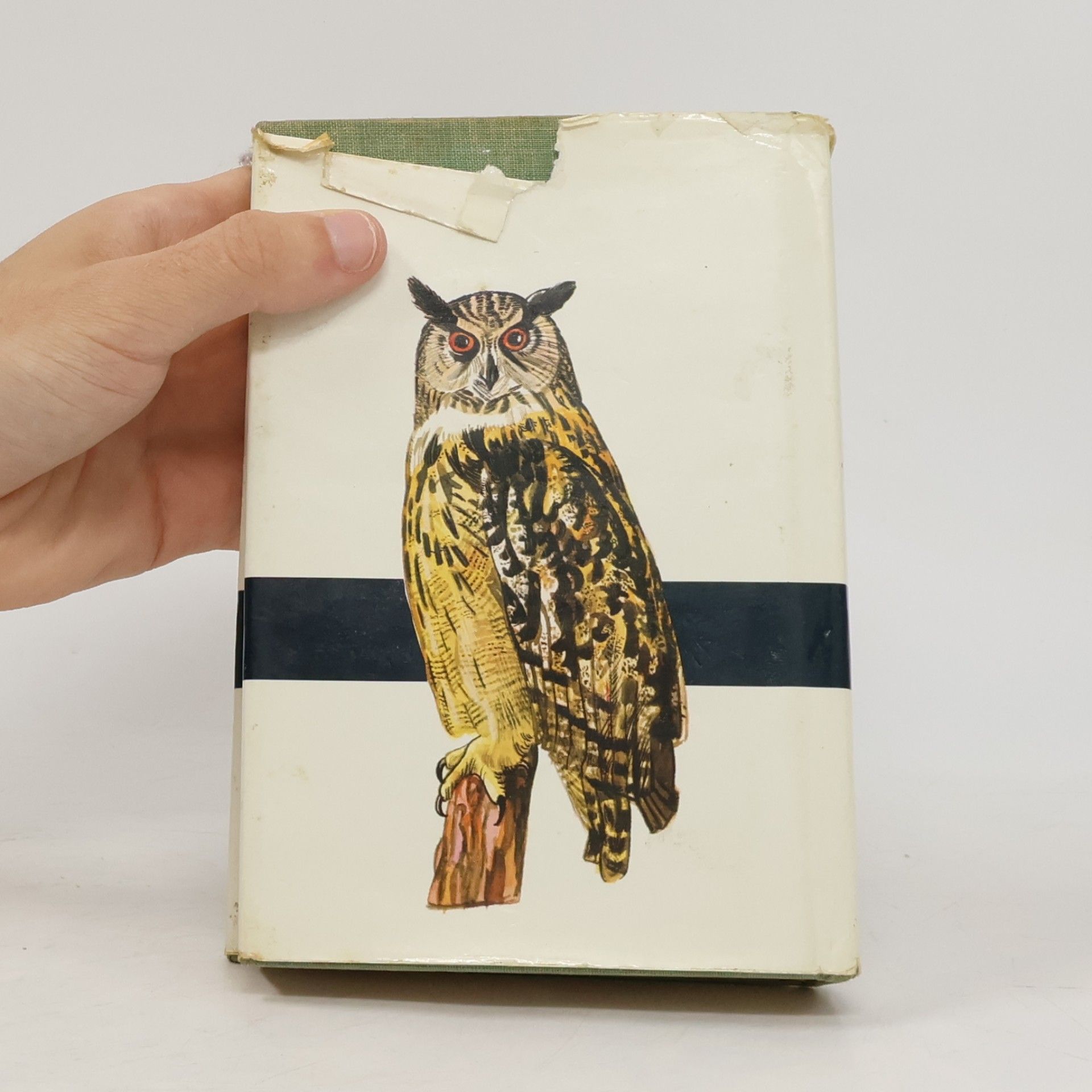 Jaroslav Spirhanzl Duriš Taschenatlas der Vögel