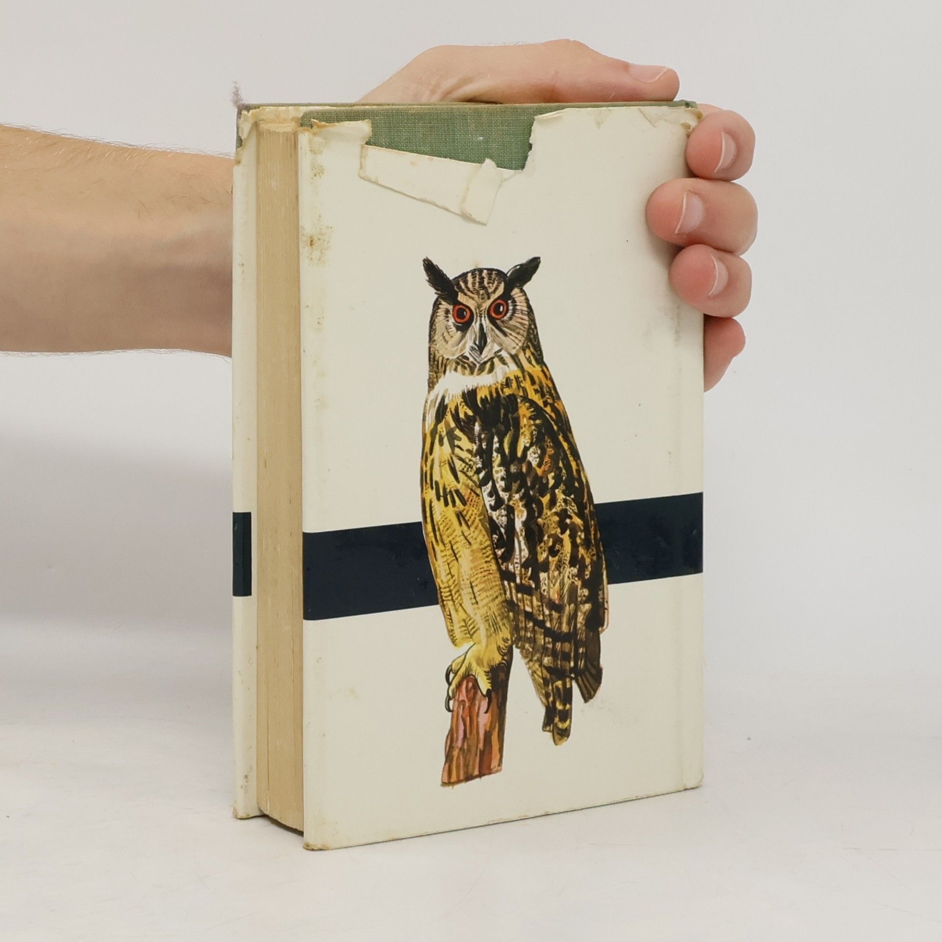 Jaroslav Spirhanzl Duriš Taschenatlas der Vögel