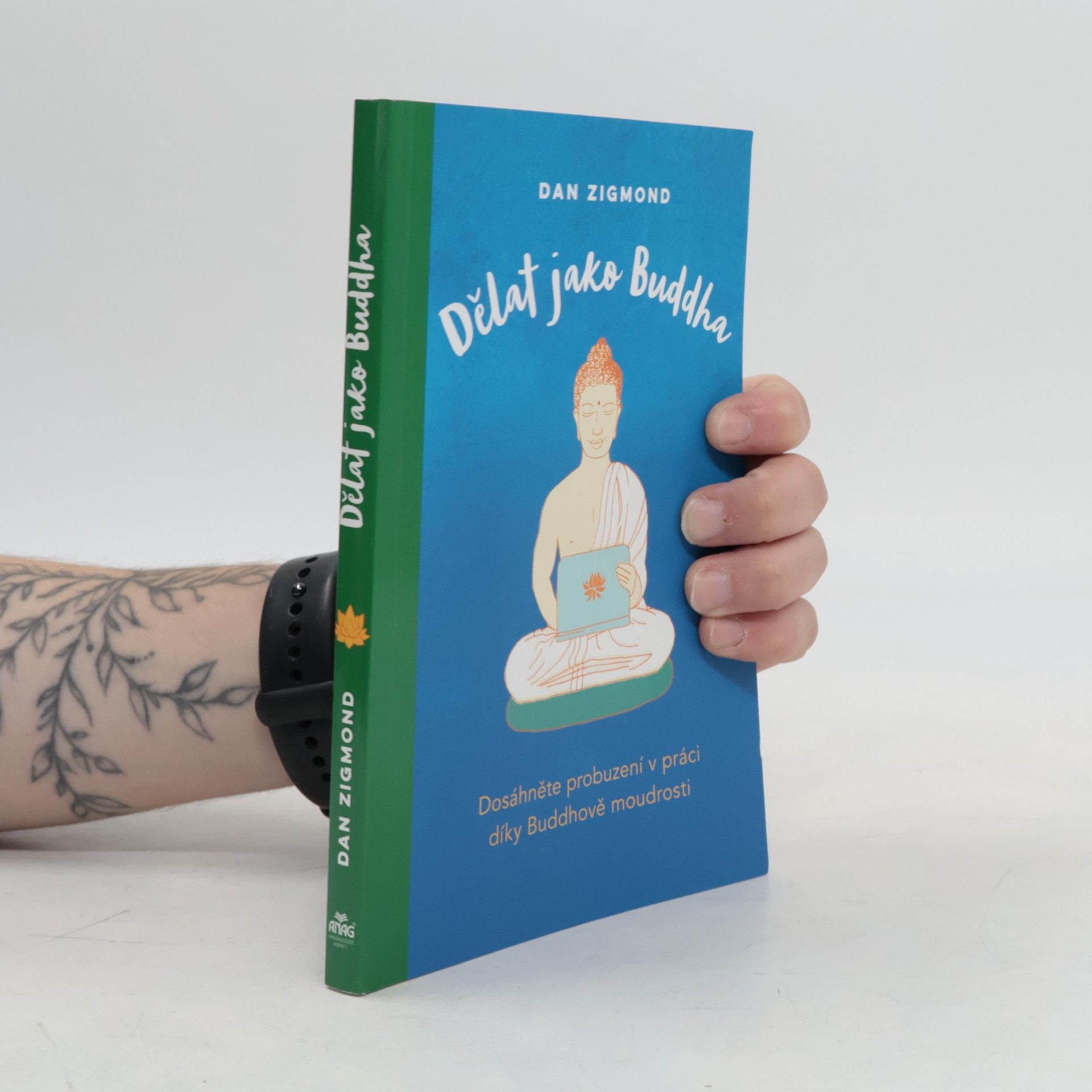 Dan Zigmond Dělat jako Buddha
