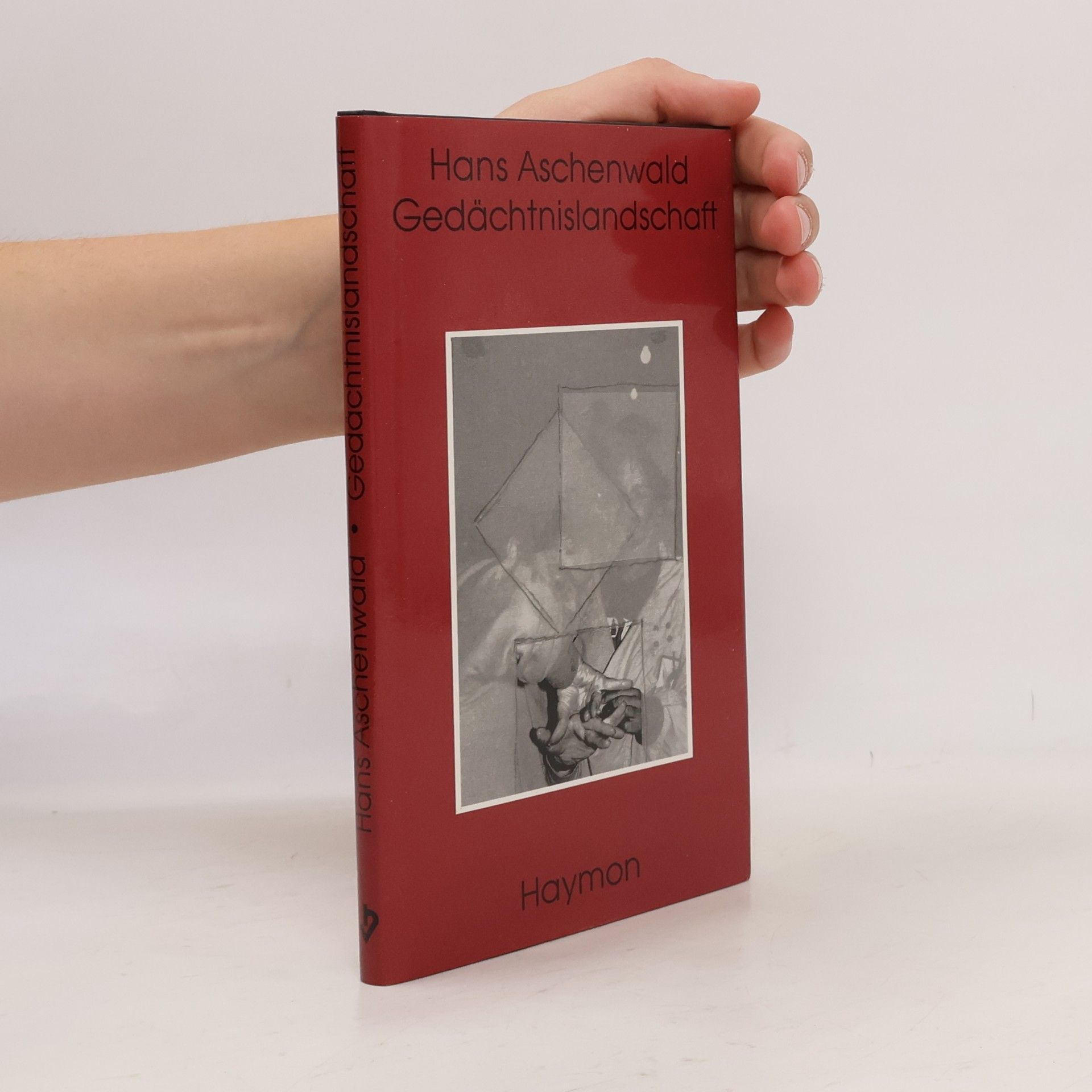 Hans Aschenwald Gedächtnislandschaft