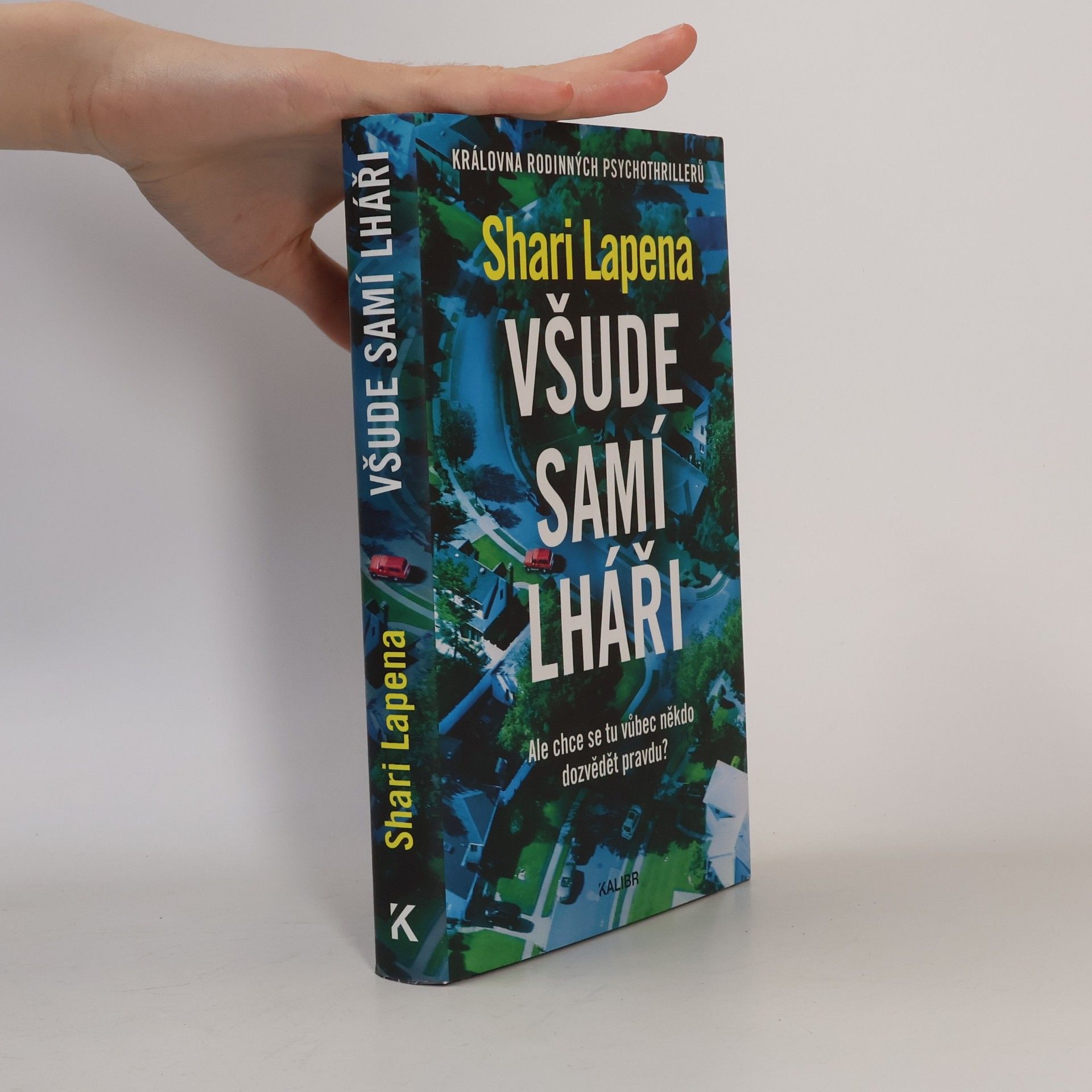 Shari Lapena Všude samí lháři