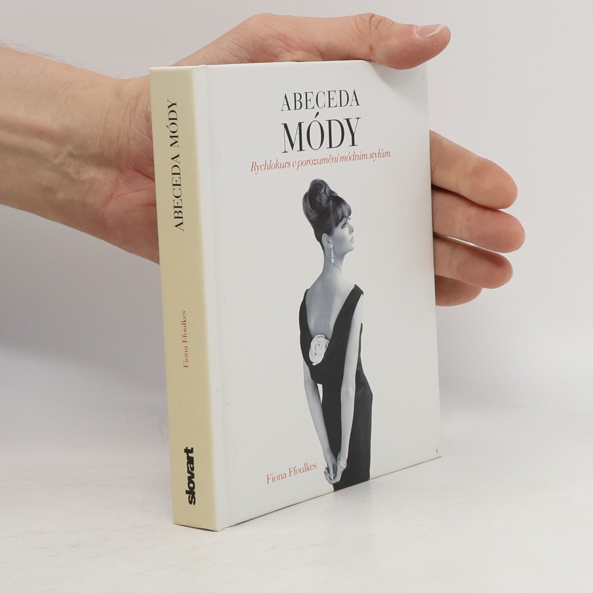 Fiona Ffoulkes Abeceda módy: Rychlokurs v porozumění módním stylům