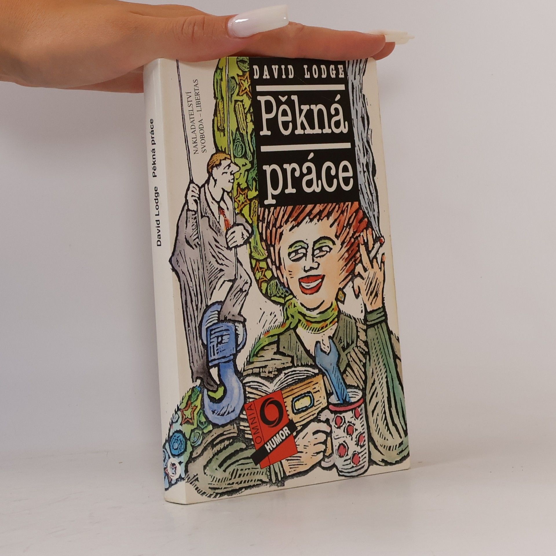 David Lodge Pěkná práce
