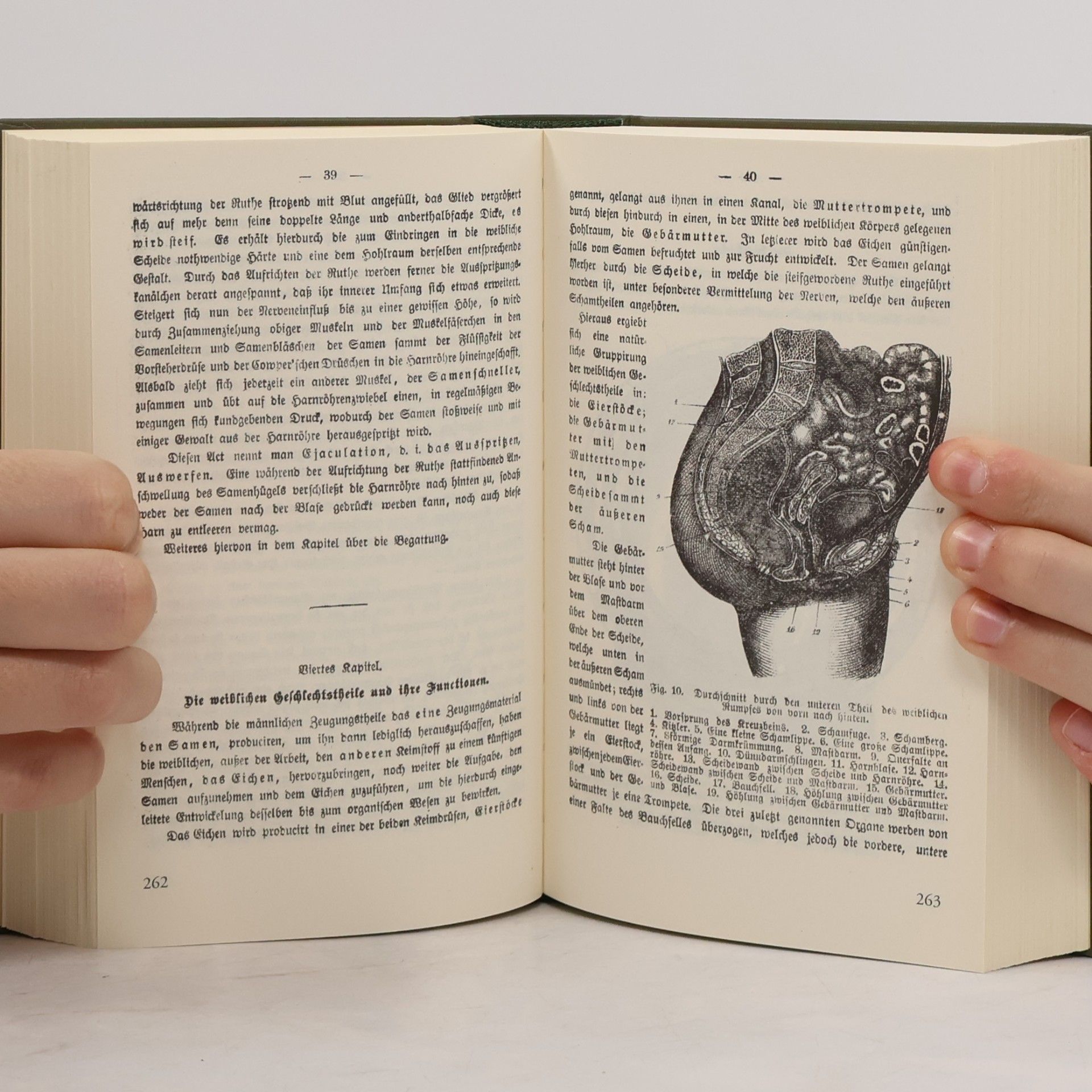 Karl May Gesammelte Werke 87. Das Buch der Liebe