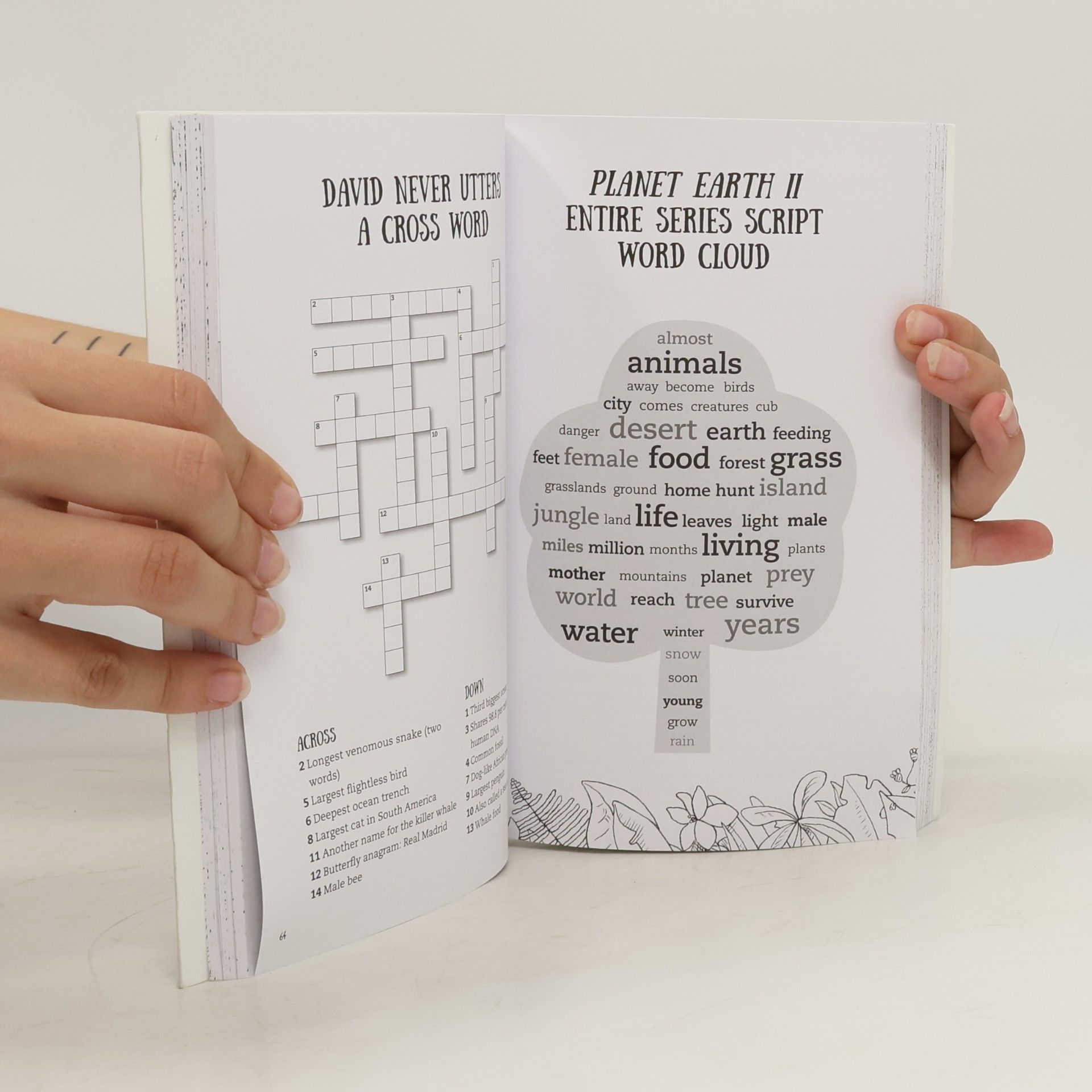 Jonathan Cribb A Celebration of David Attenborough: The Activity Book