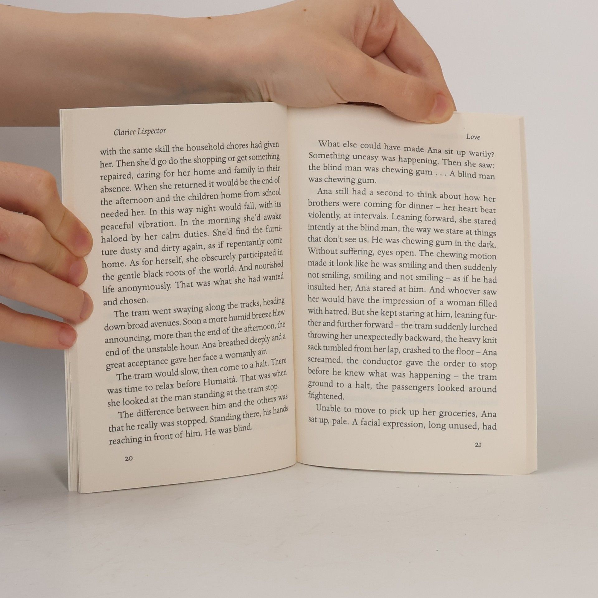 Clarice Lispector Daydream and Drunkenness of a Young Lady