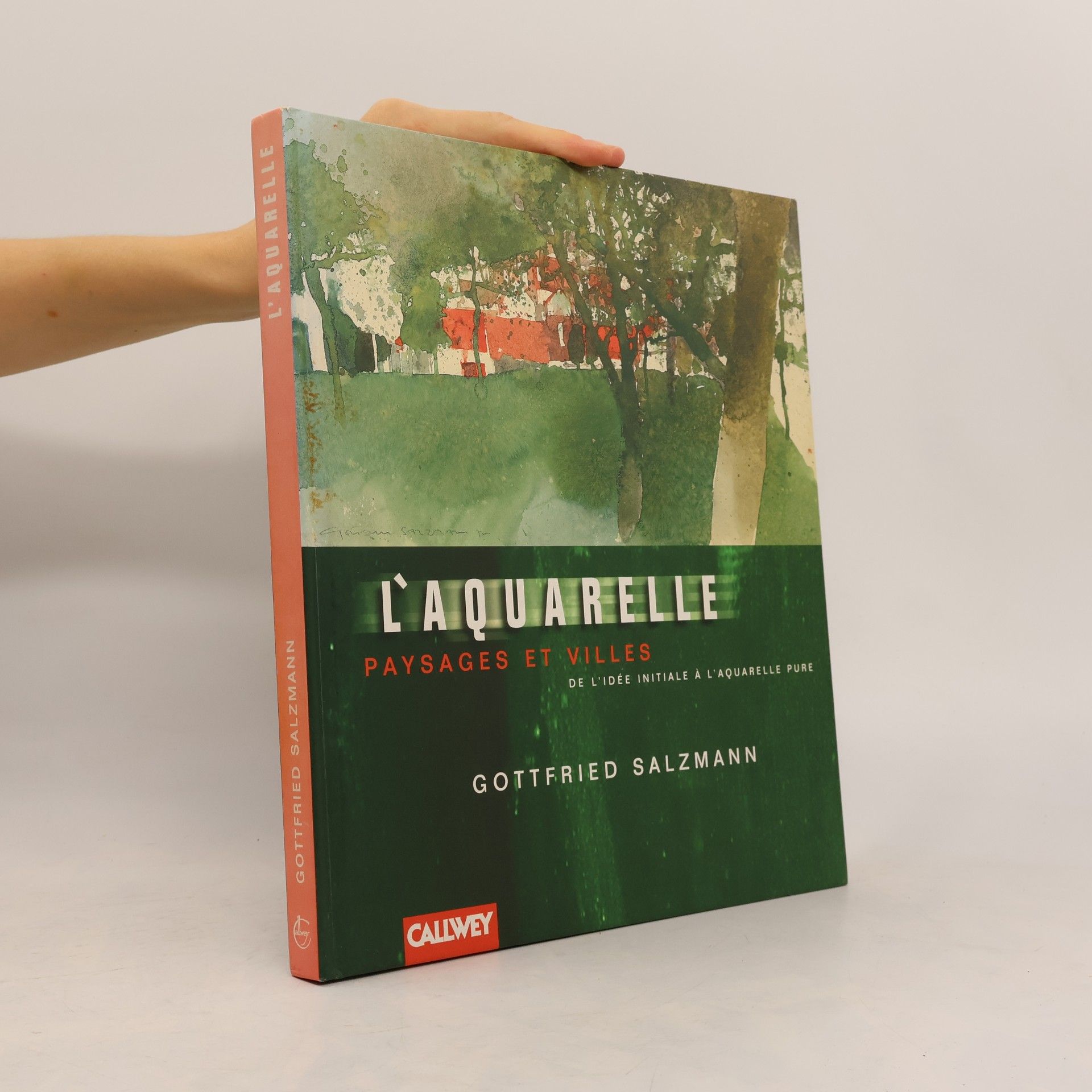 Gottfried Salzmann Aquarelle. Landschaften und Städte. Von der Idee zum reinen Aquarell.