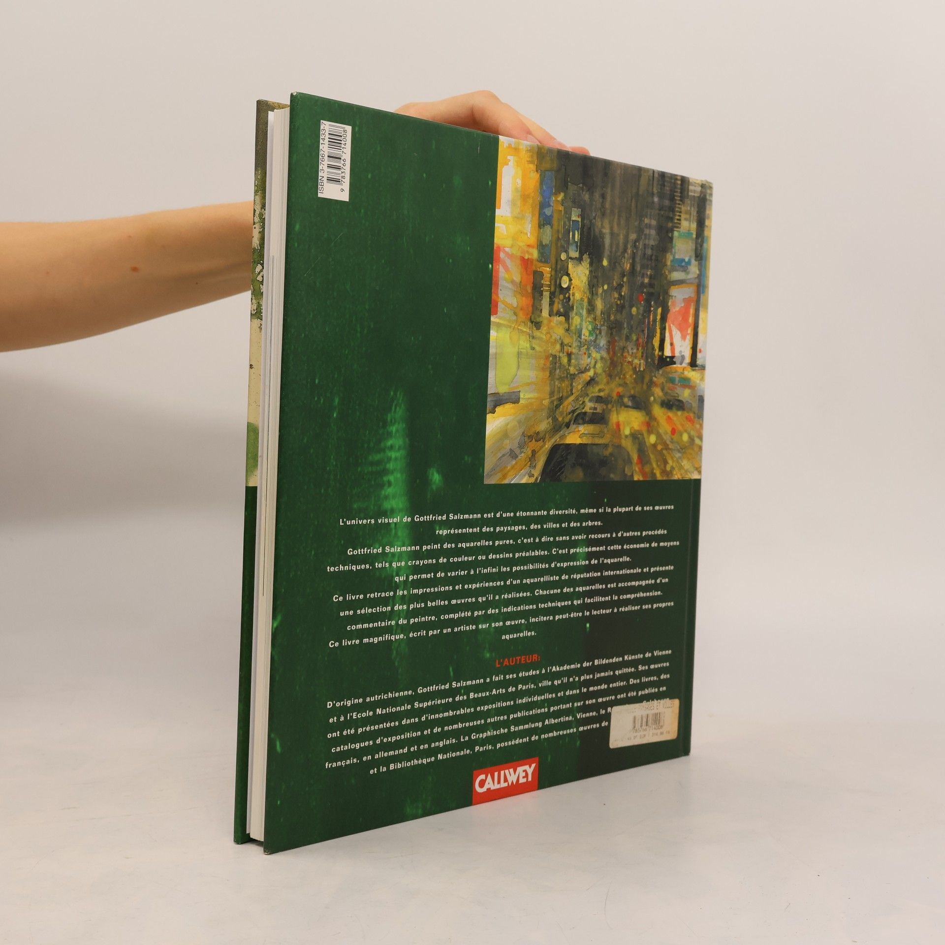 Gottfried Salzmann Aquarelle. Landschaften und Städte. Von der Idee zum reinen Aquarell.