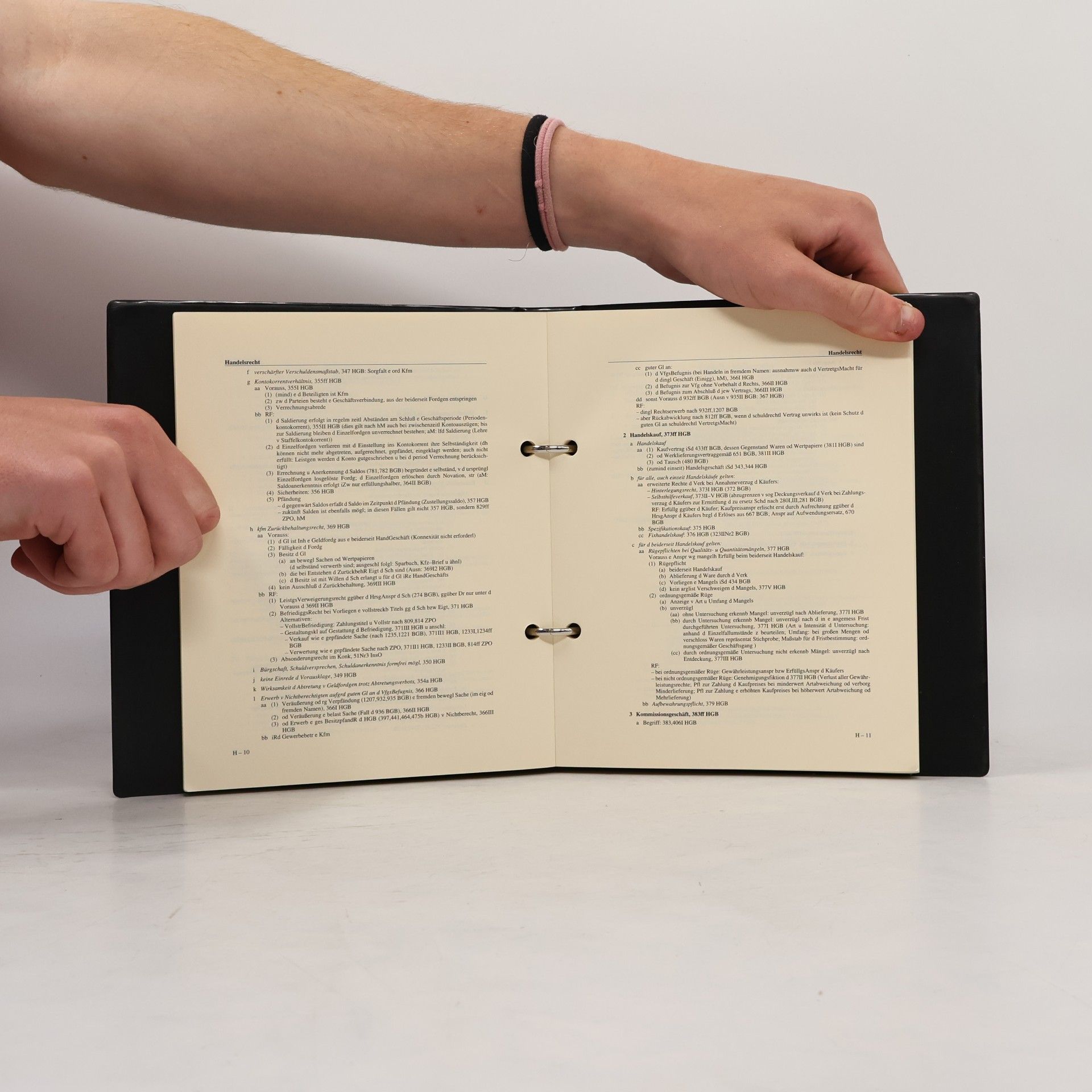 Reinhard Nemitz Die Schemata
