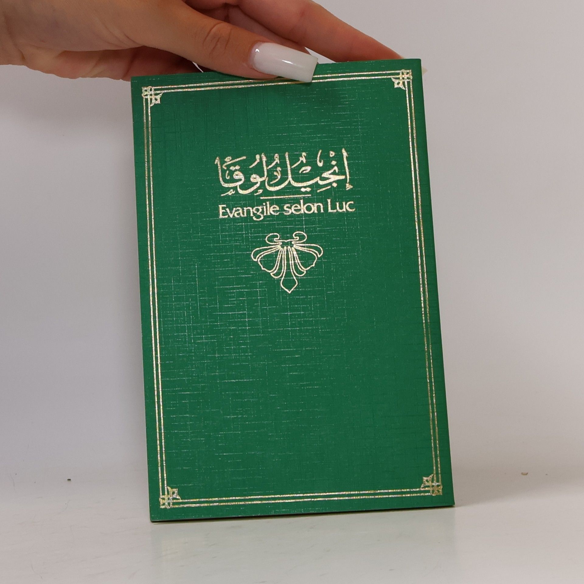Autores varios إنجيل لوقا. Évangile selon Luc