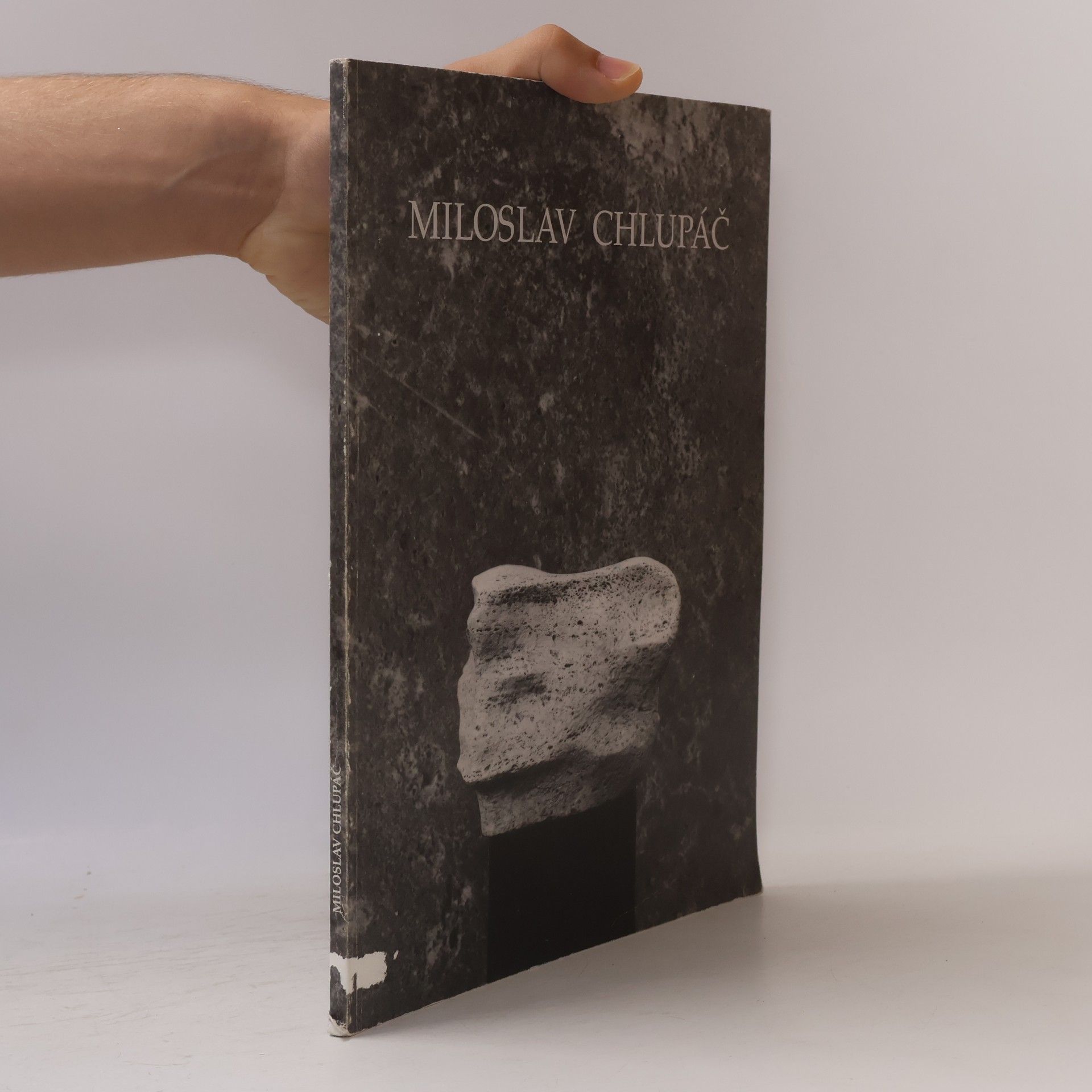 AA.VV. Miloslav Chlupáč : Galerie výtvarného umění v Litoměřicích červenec - září 1995 : Oblastní galerie vysočiny v Jihlavě listopad - prosinec 1995 : Galerie umění v Karlových varech březen - duben 1996