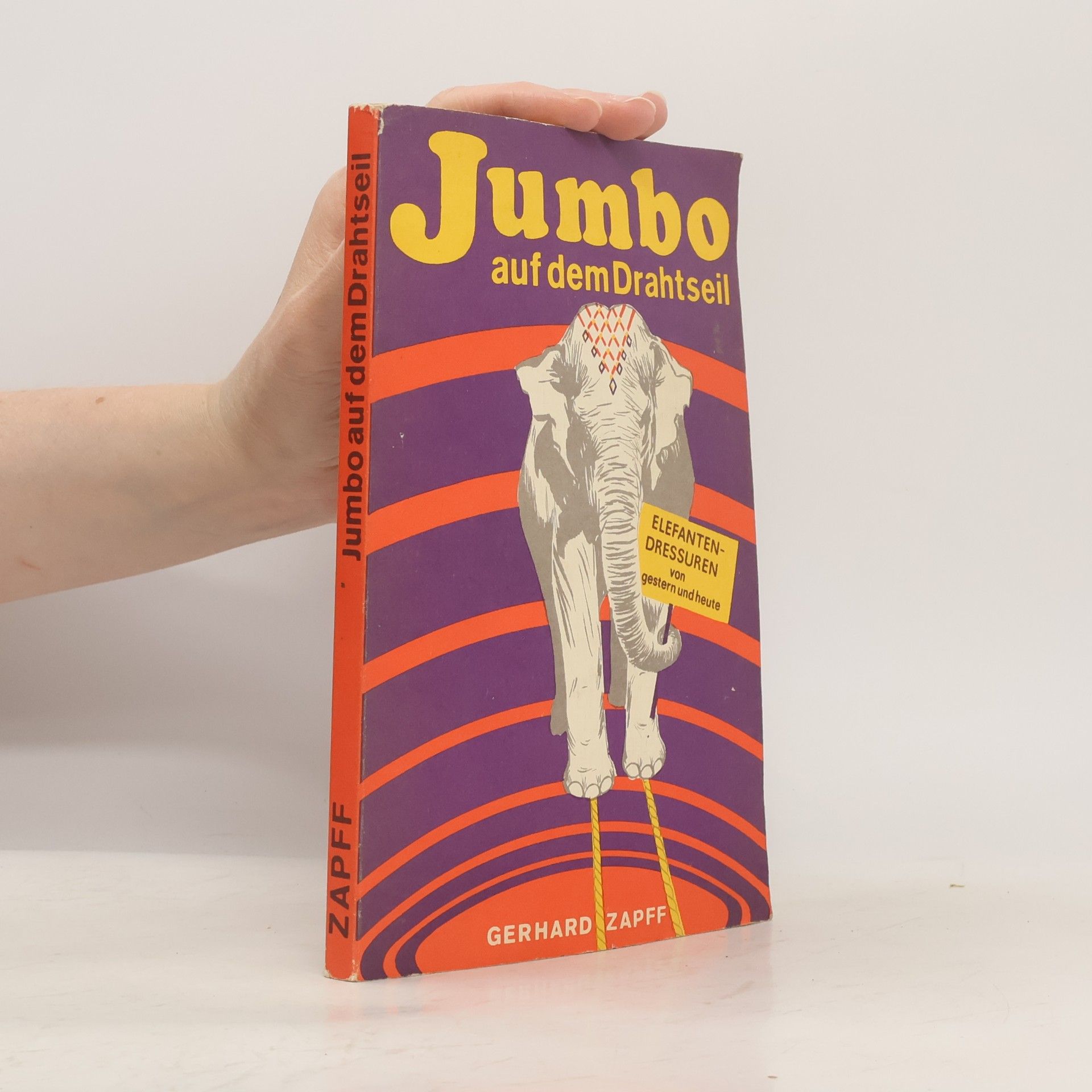 Jumbo auf dem Drahtseil