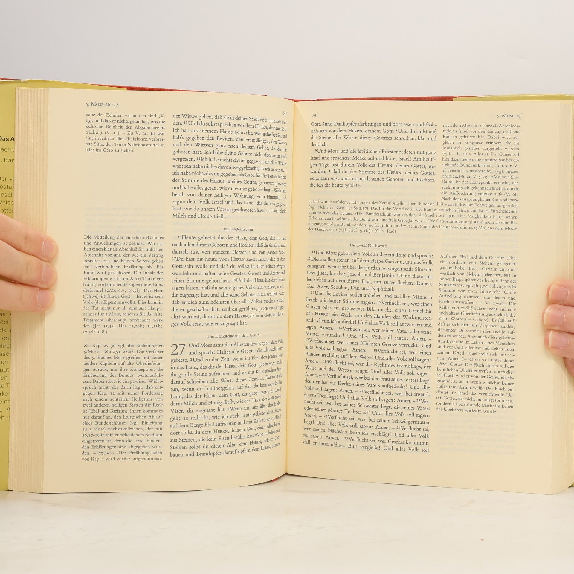 Martin Luther Das Alte Testament mit Erklärungen 2