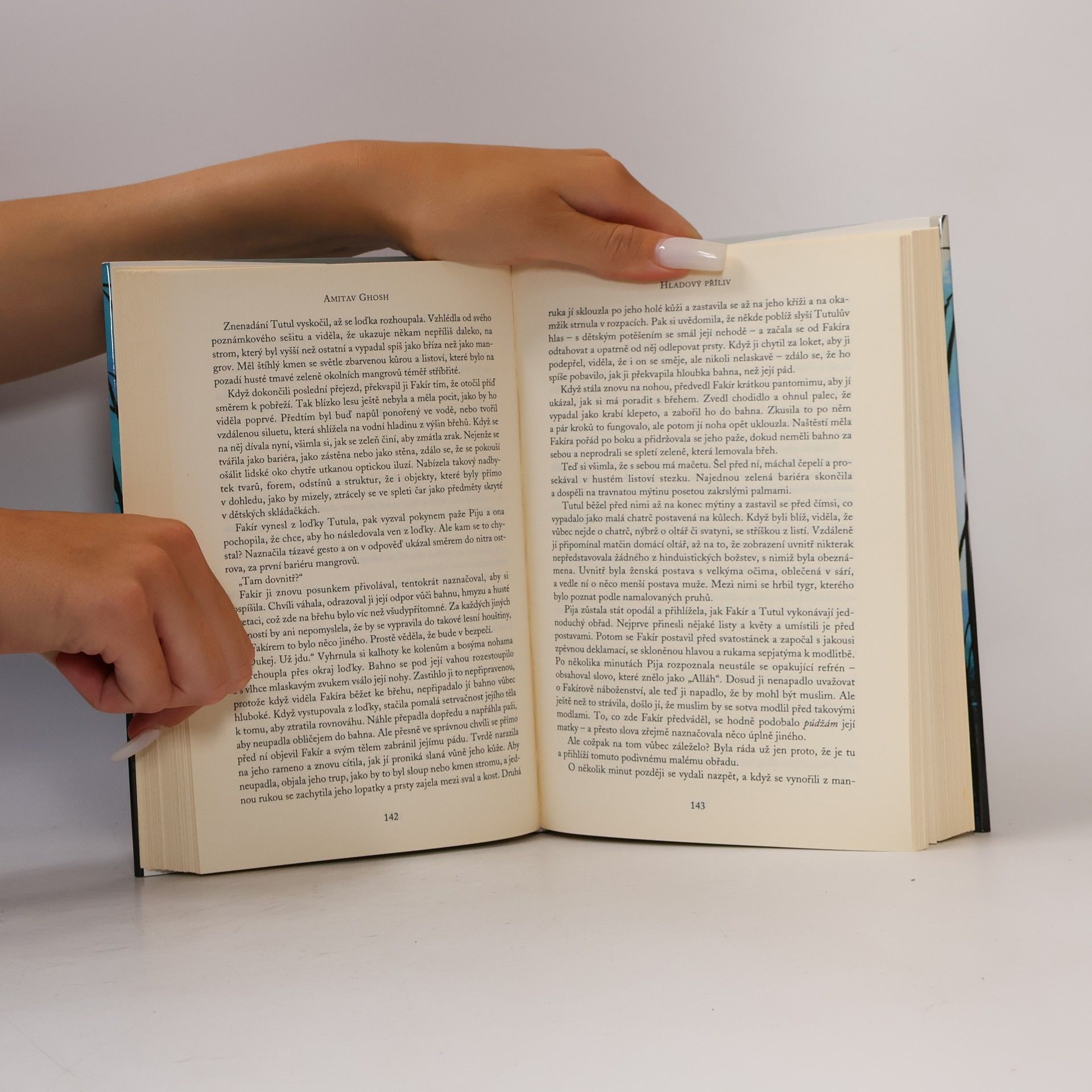 Amitav Ghosh Hladový příliv