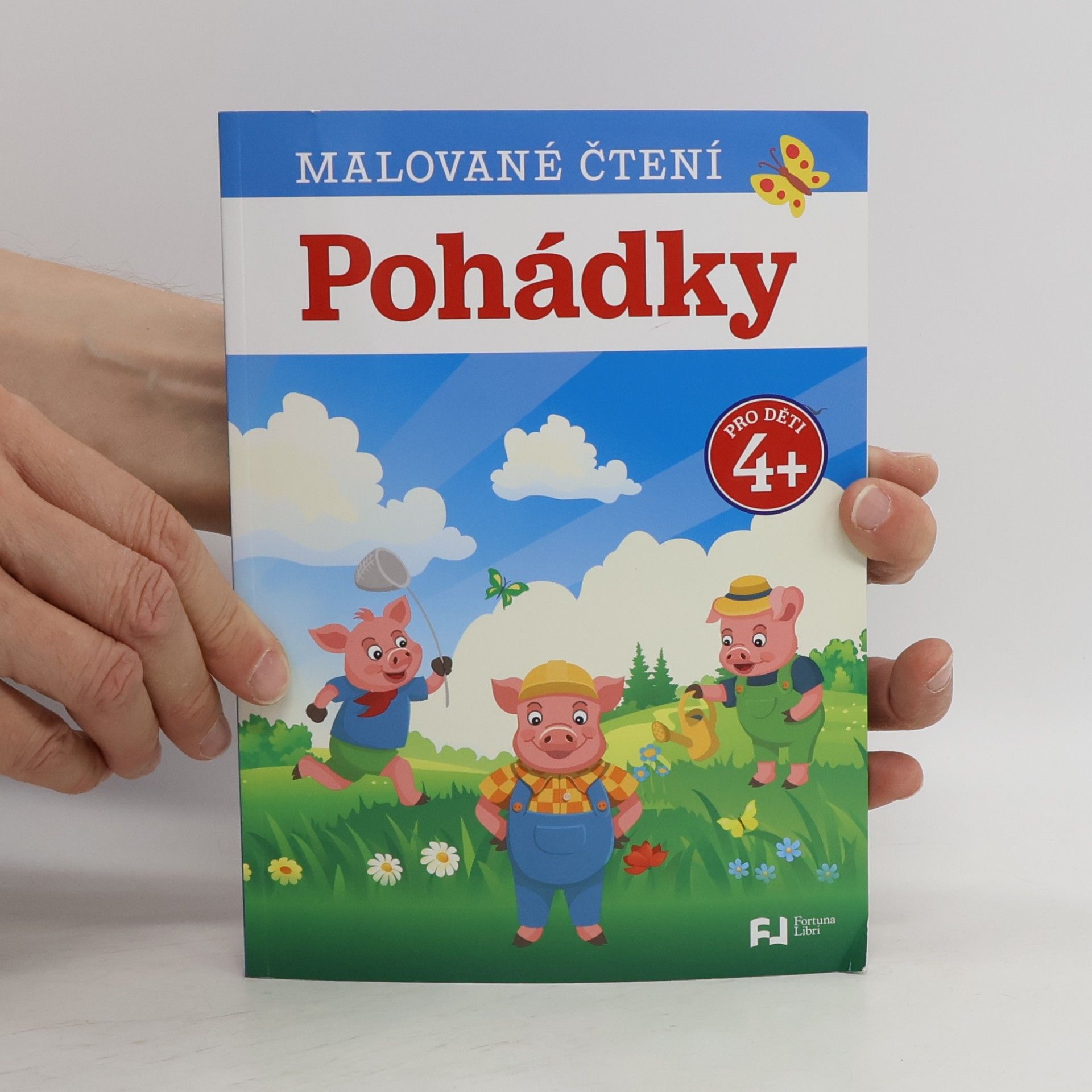 Marie Hamáková Malované čtení. Pohádky