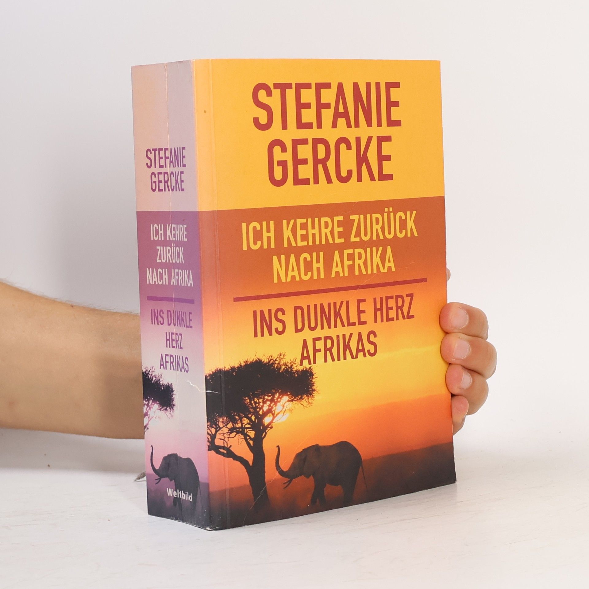 Stefanie Gercke Ich kehre zurück nach Afrika