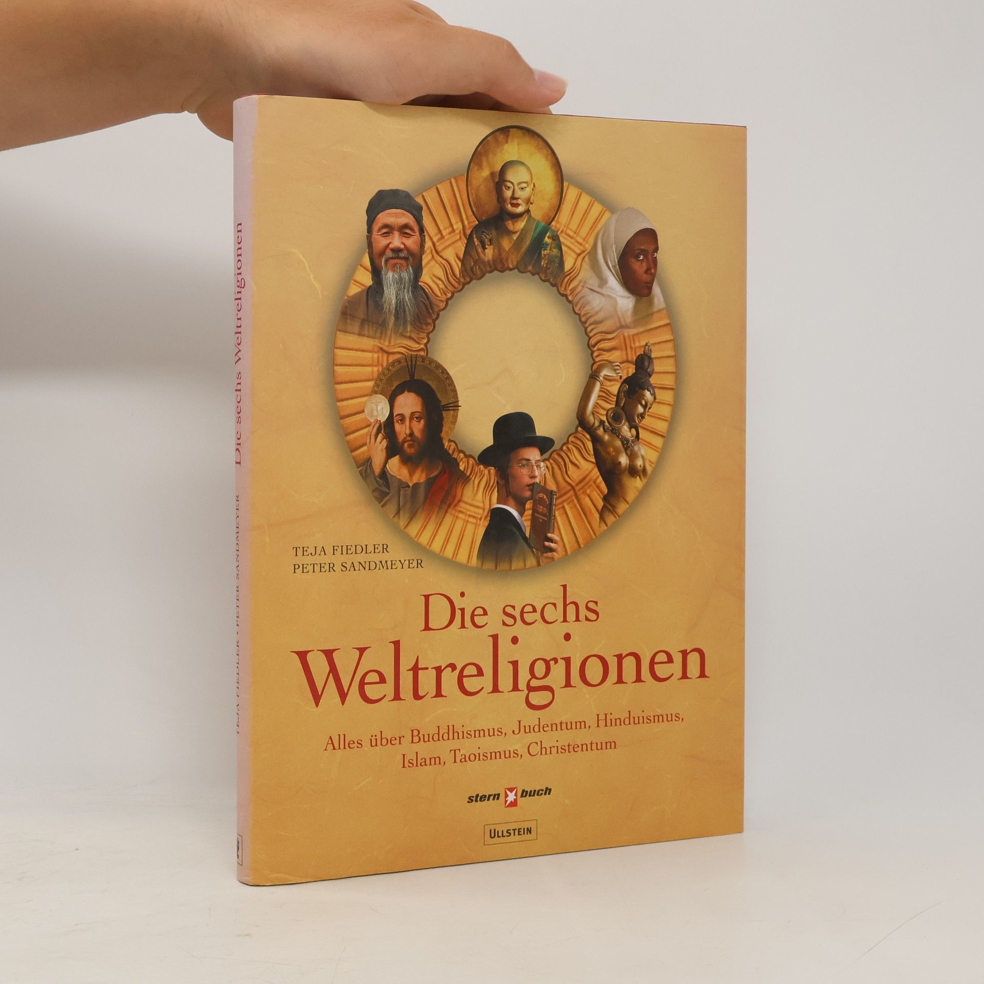 Peter Sandmeyer Die sechs Weltreligionen: alles über Buddhismus, Judentum, Hinduismus, Islam, Taoismus, Christentum